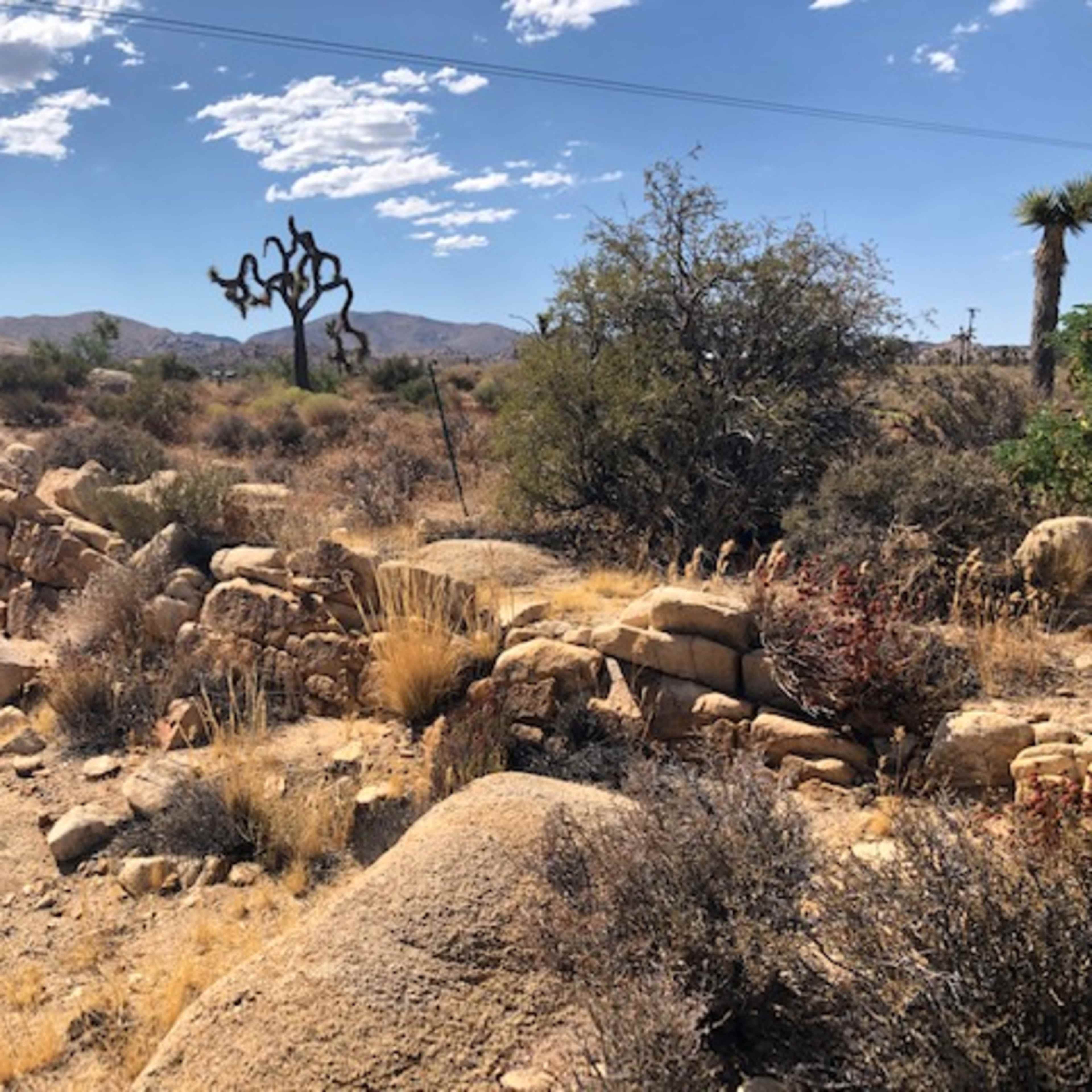 A dry desert landscape with rocky outcrops, scattered shrubs, and a few trees against a clear blue sky.