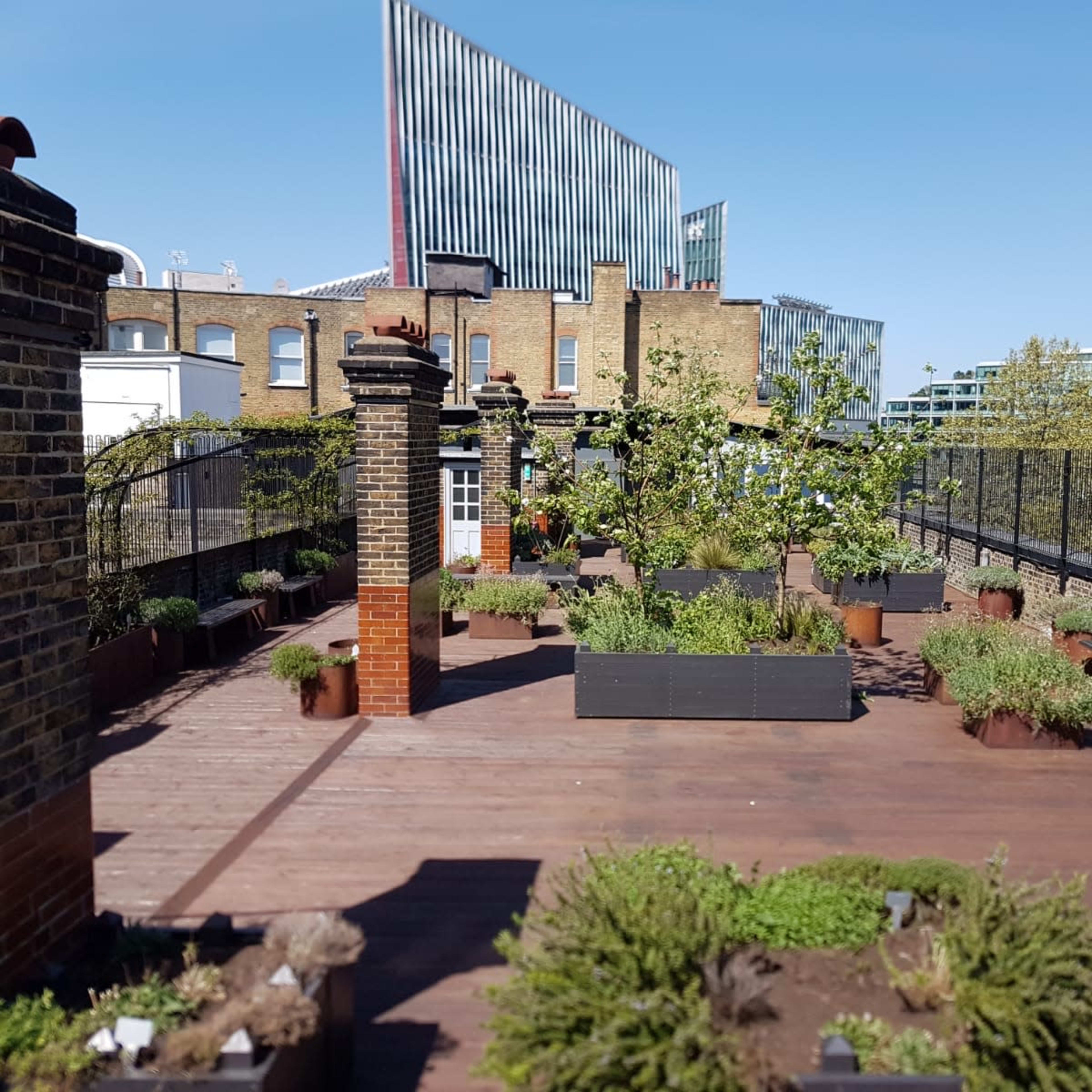 A rooftop garden with wooden decking, planters filled with greenery, and a city skyline in the background.