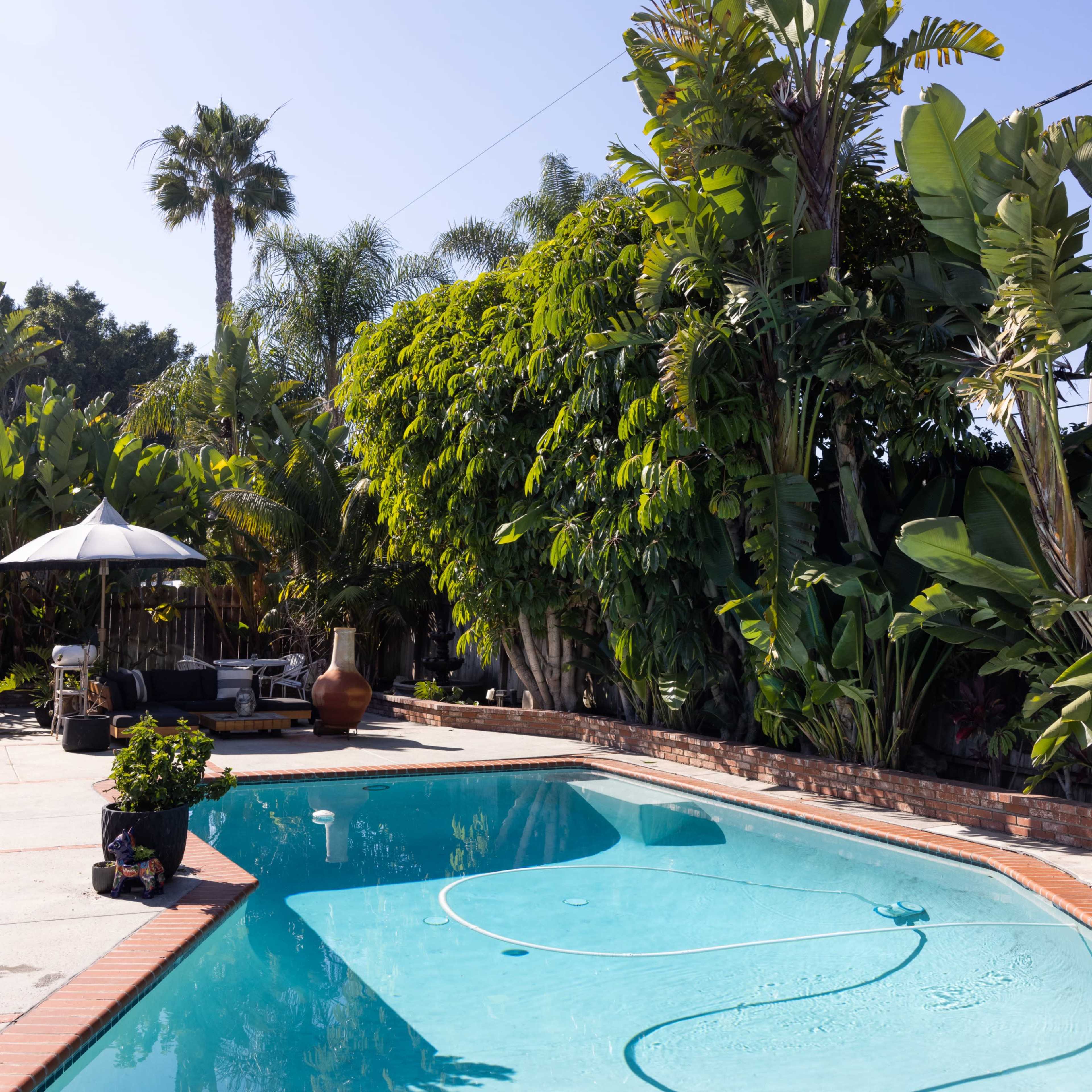A clear swimming pool surrounded by lush greenery and palm trees under a blue sky.