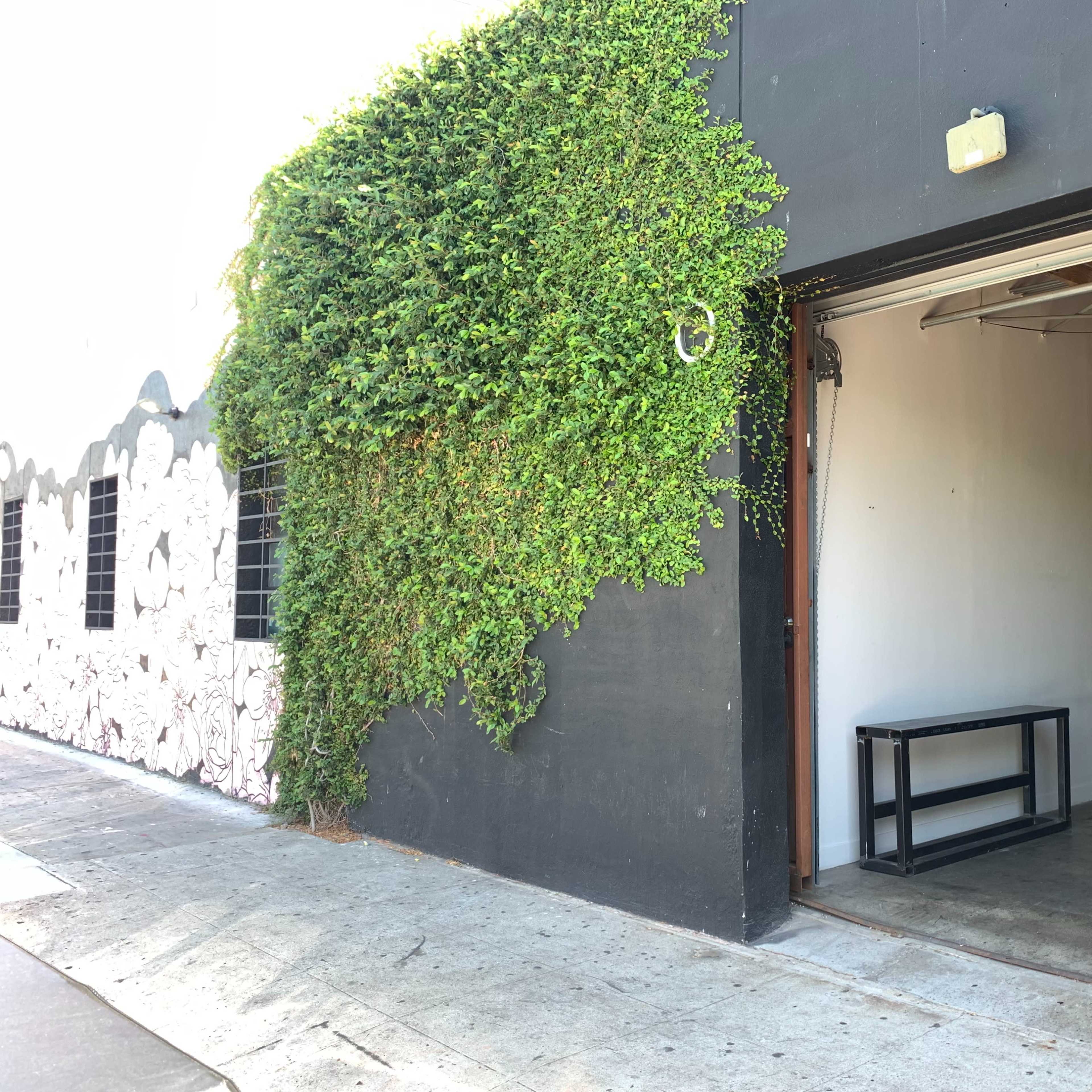 A large, green ivy-covered wall is next to an open doorway leading into a minimal interior space with a table and a disco ball hanging from the ceiling.