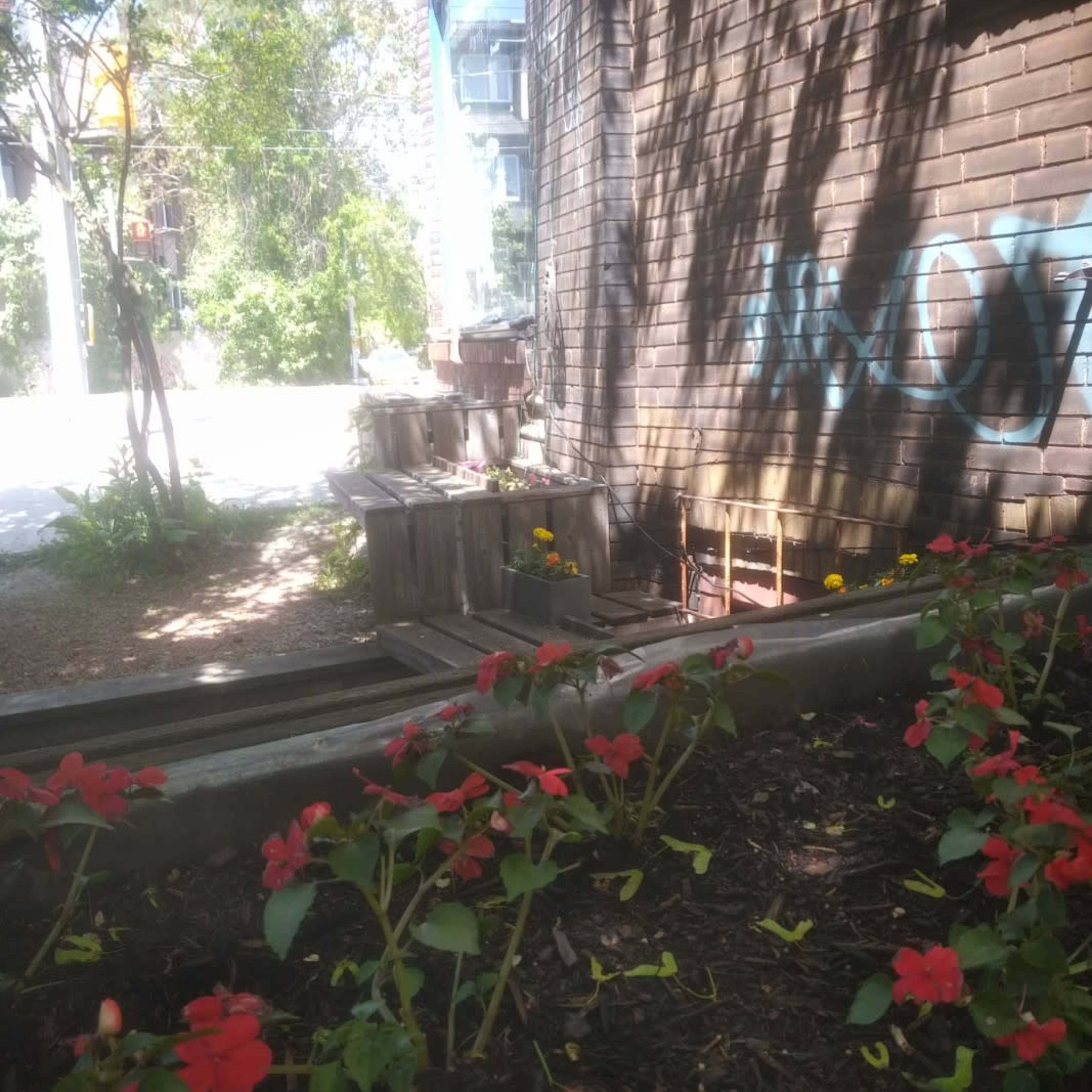 A flower bed with red begonias is situated beside a brick building, with sunlight filtering through nearby trees and casting shadows on the ground.