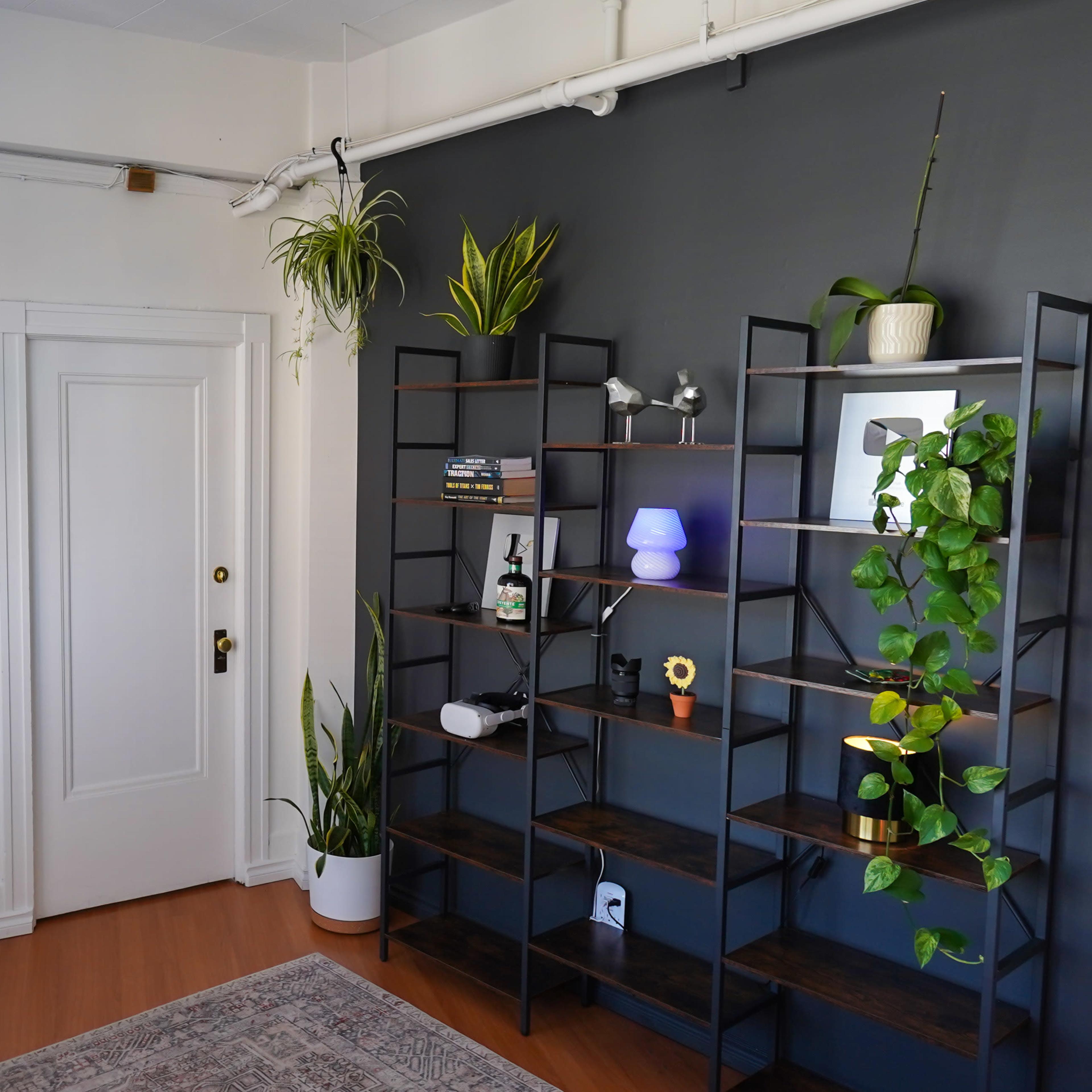 A bright room with a door, a black bookshelf filled with plants and decorative items, and two lighting setups on either side.