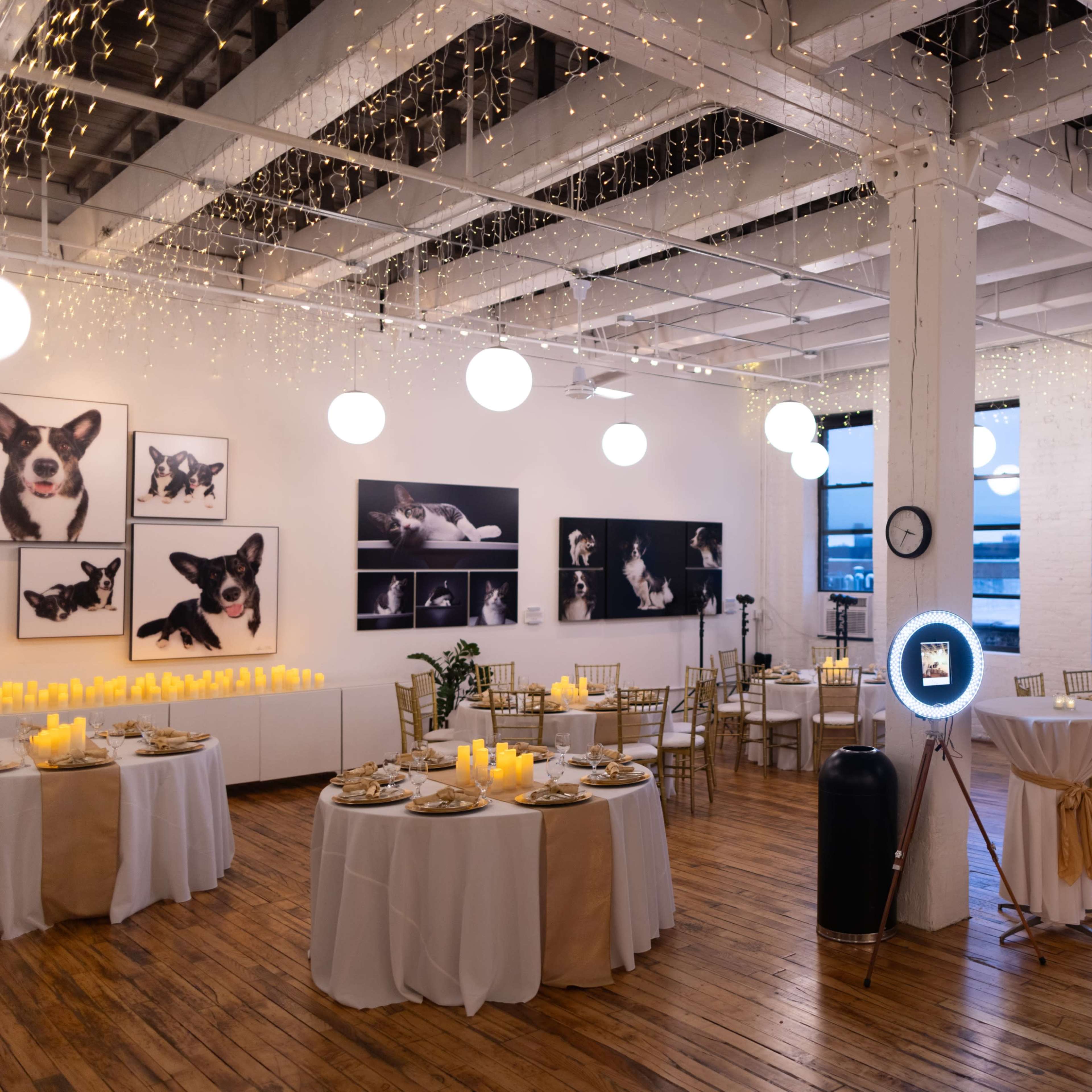 The spacious event room features elegant round tables, glowing candles, and string lights hanging from the ceiling, with large photographs of dogs displayed on the walls.