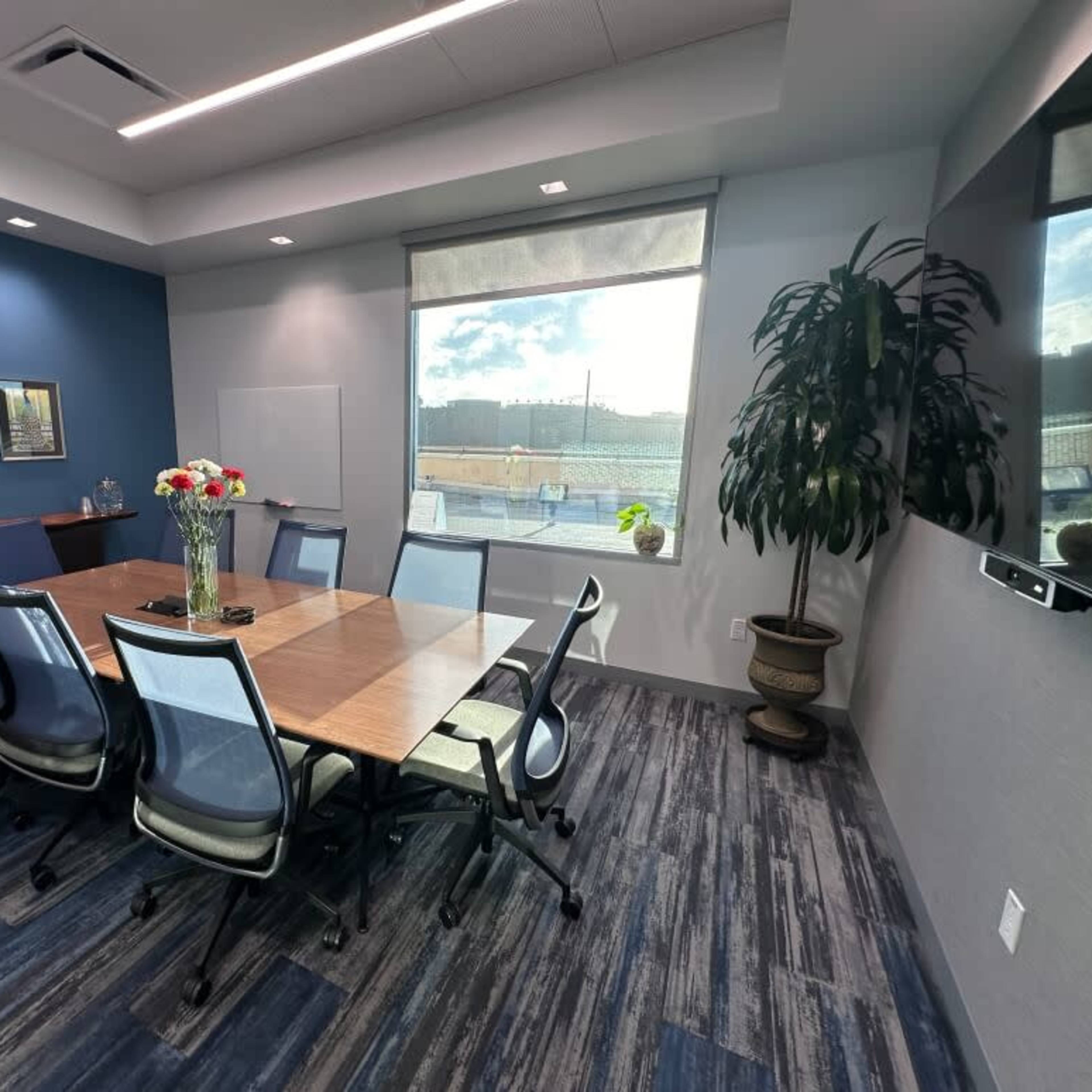 A modern conference room features a large wooden table surrounded by six ergonomic chairs, with a window showcasing an outdoor view and a potted plant in the corner.