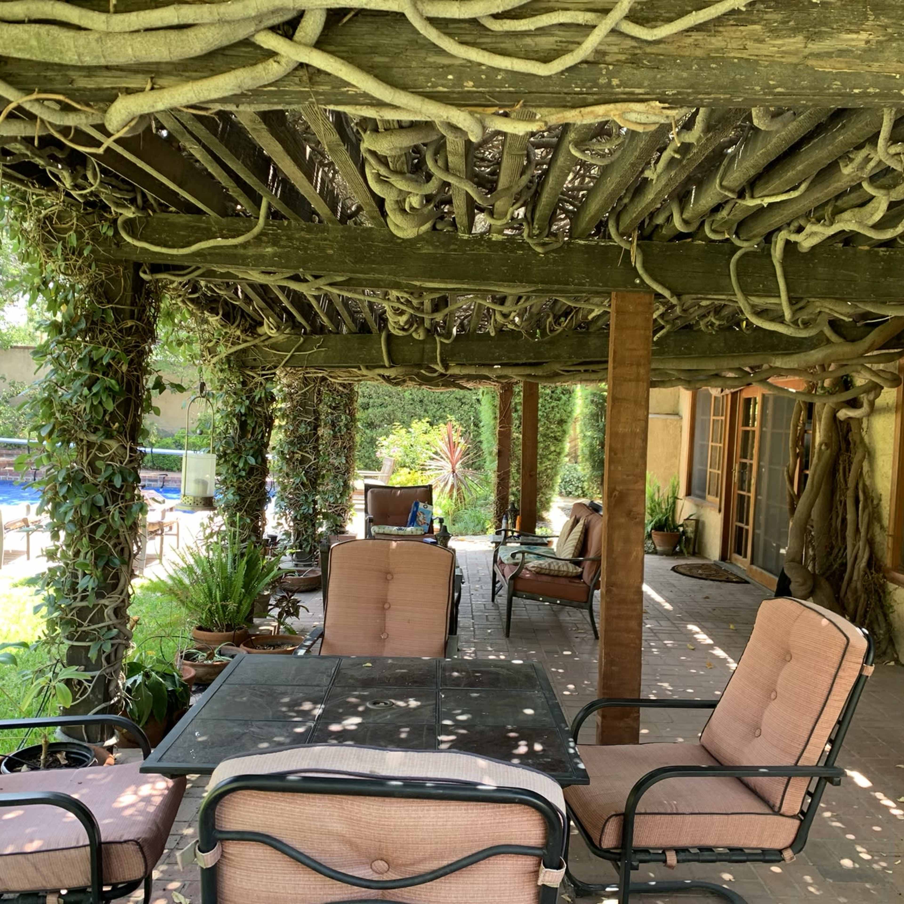 A shaded outdoor patio area with wooden beams, climbing vines, and comfortable seating around a table.
