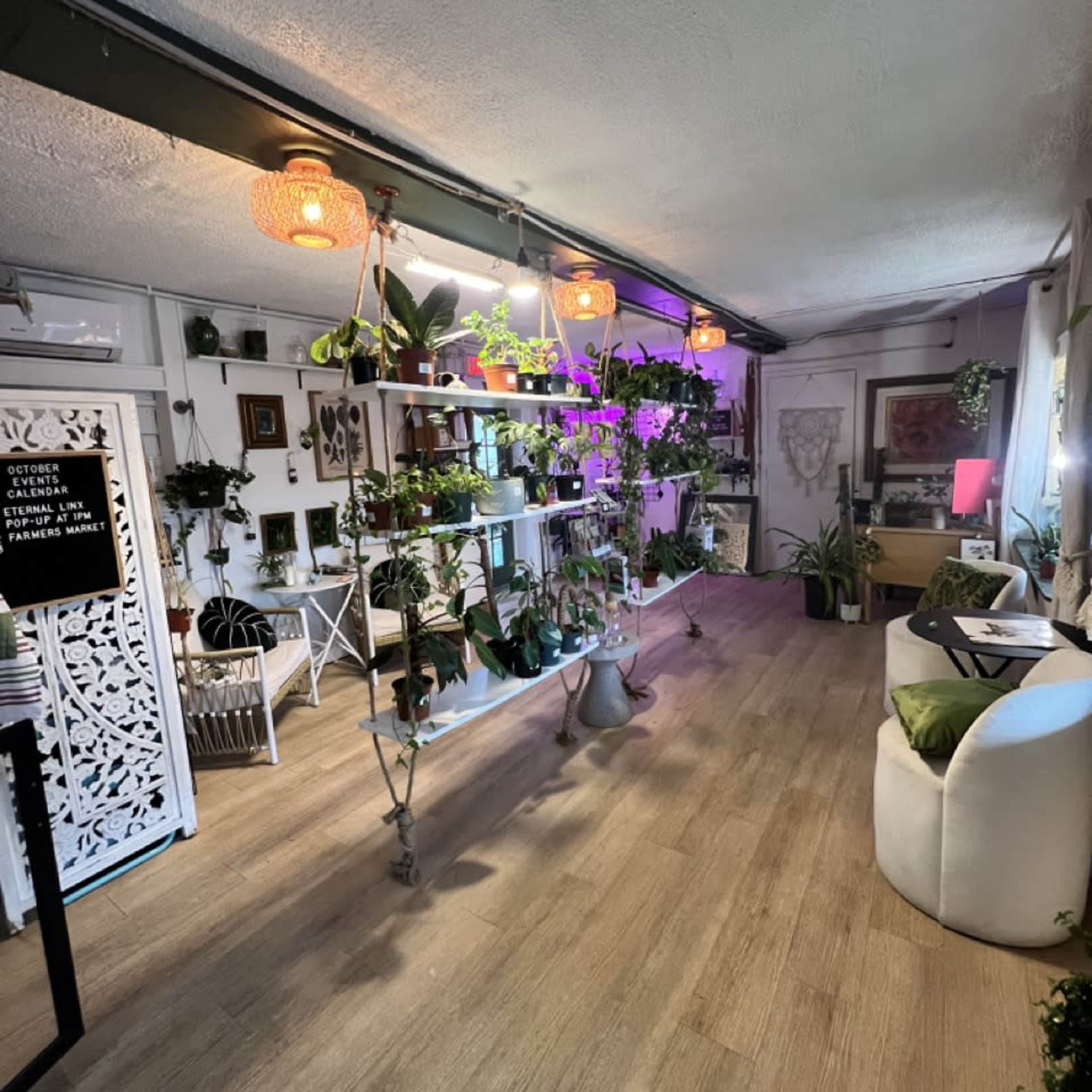 Beachfront Plant Shop & Outdoor Space Image in Flagler Beach, Flagler Beach, FL