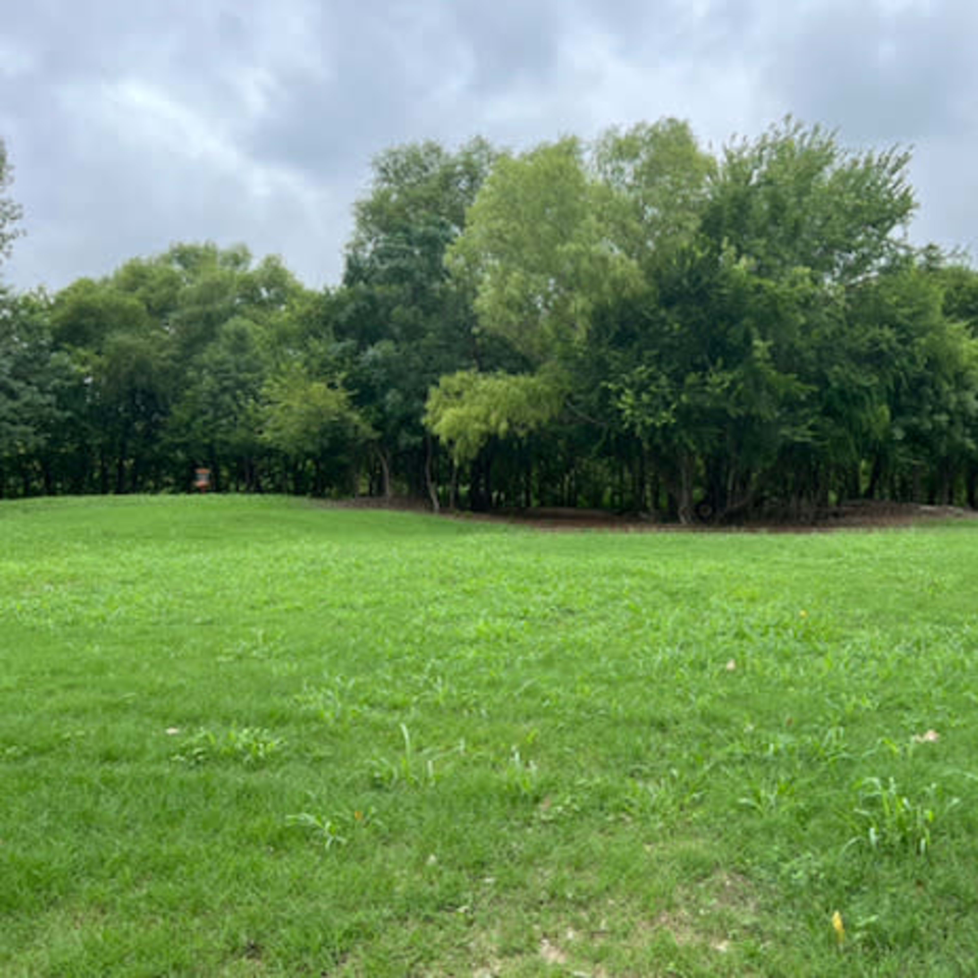 A grassy field with scattered trees and a dense tree line in the background under a cloudy sky.