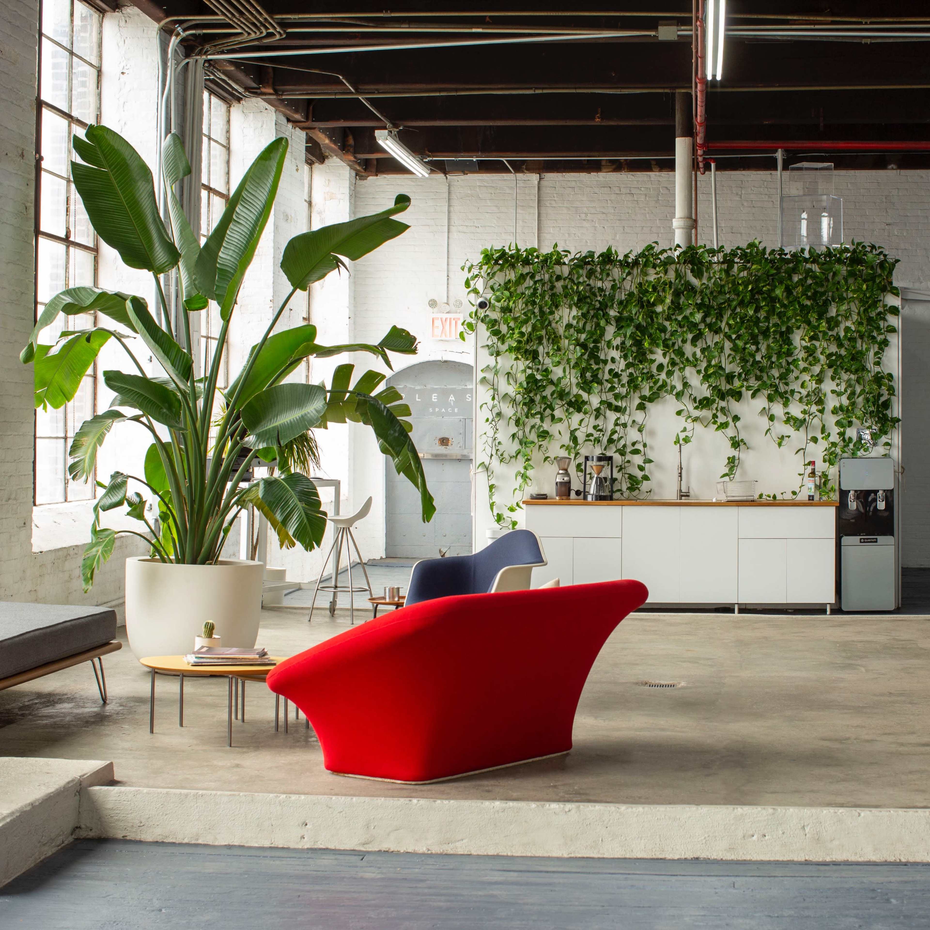 A spacious, modern interior with large windows, a red armchair, a dining table, and greenery along the walls.
