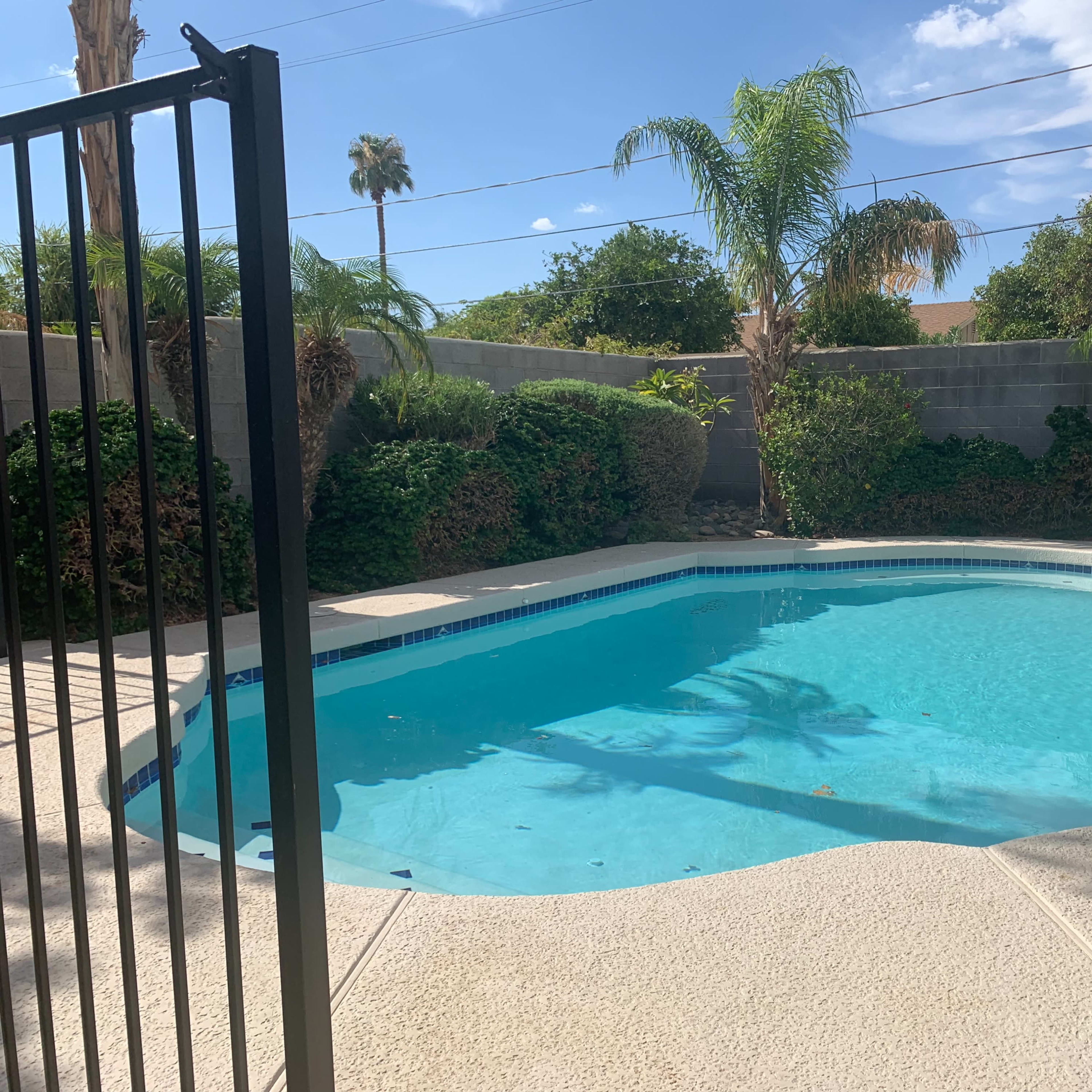 A clear swimming pool surrounded by green shrubs and palm trees, enclosed by a black gate under a blue sky.