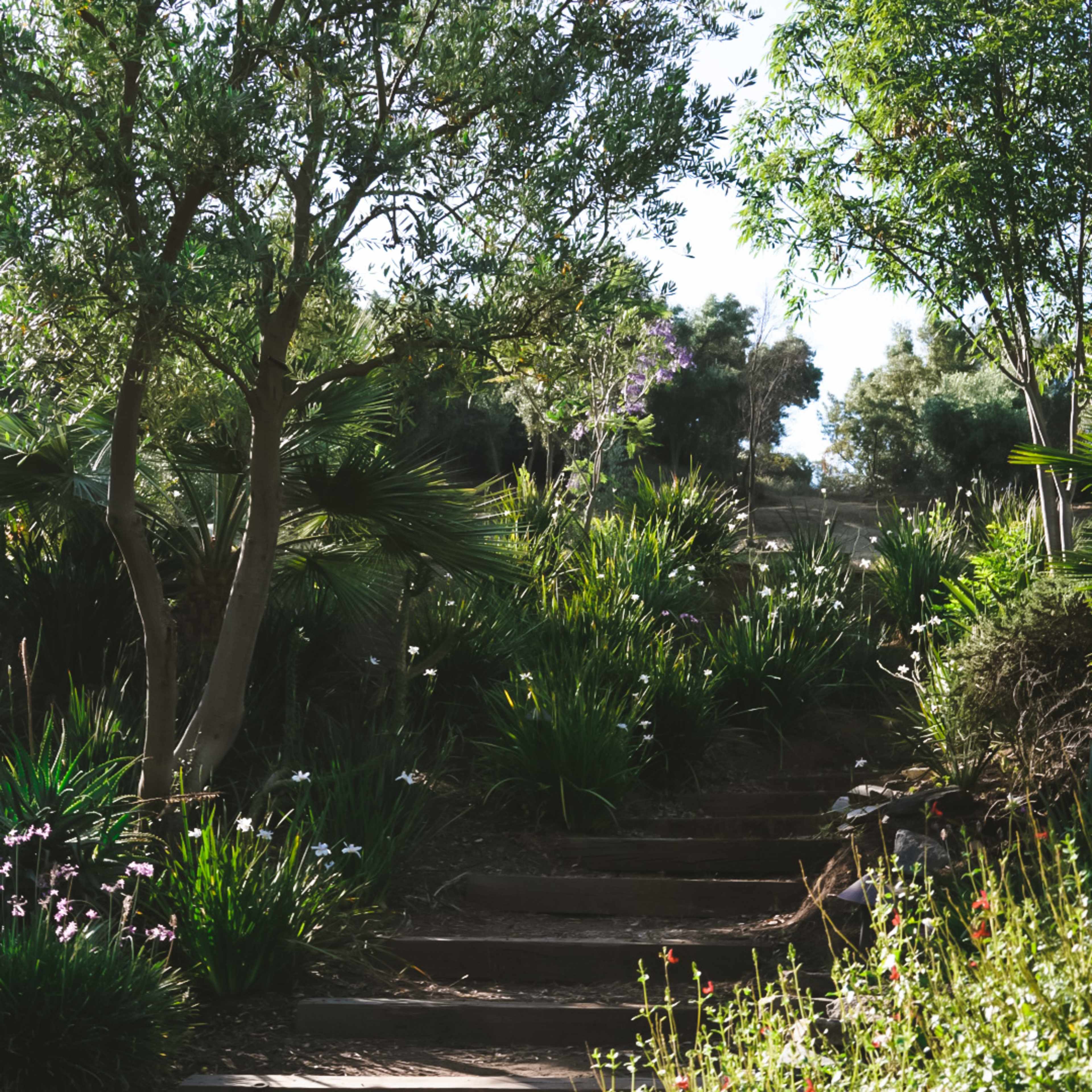 A staircase leads upwards through a lush garden filled with various plants and trees.