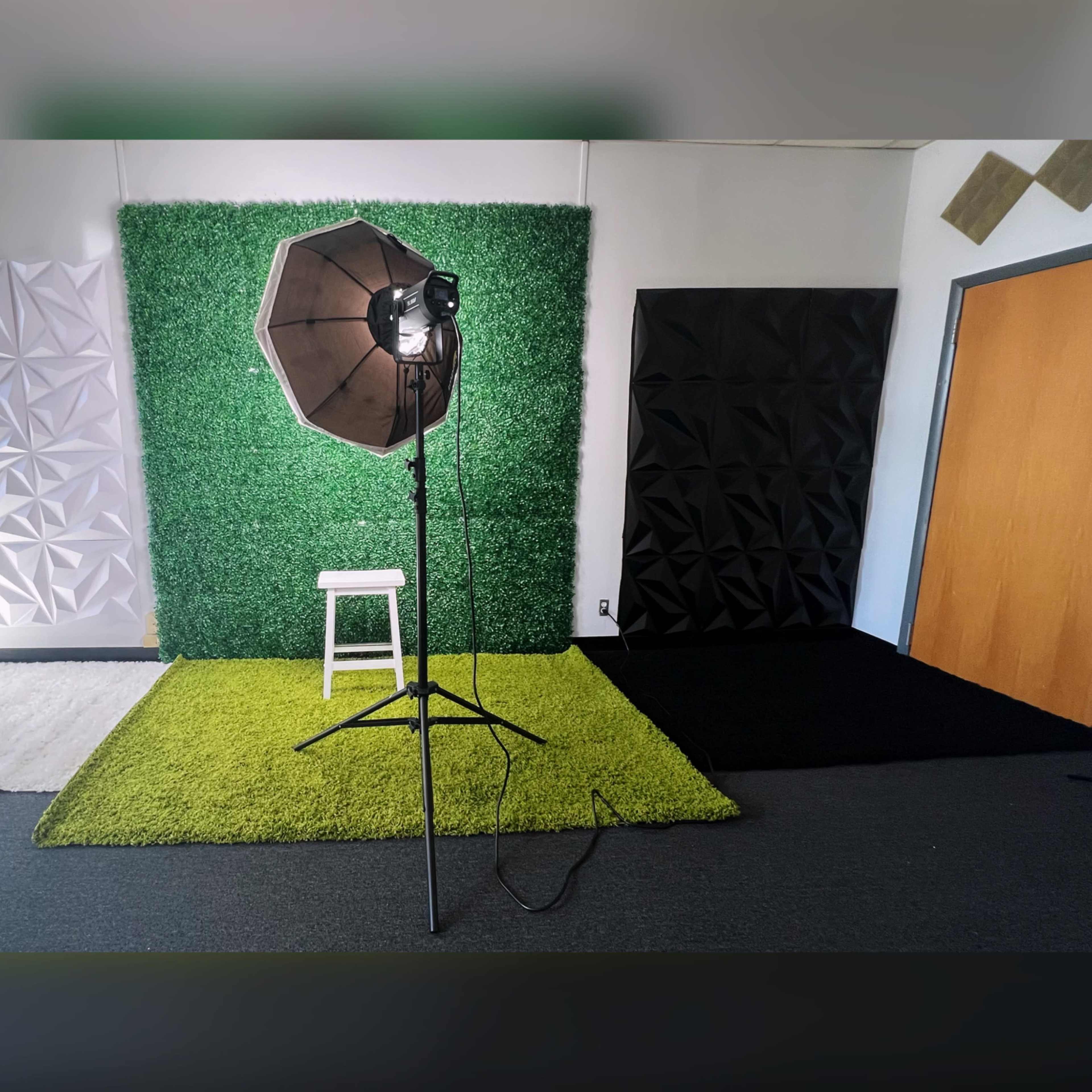 A studio setup with a light stand in front of a green grass backdrop, flanked by textured white and black wall panels.