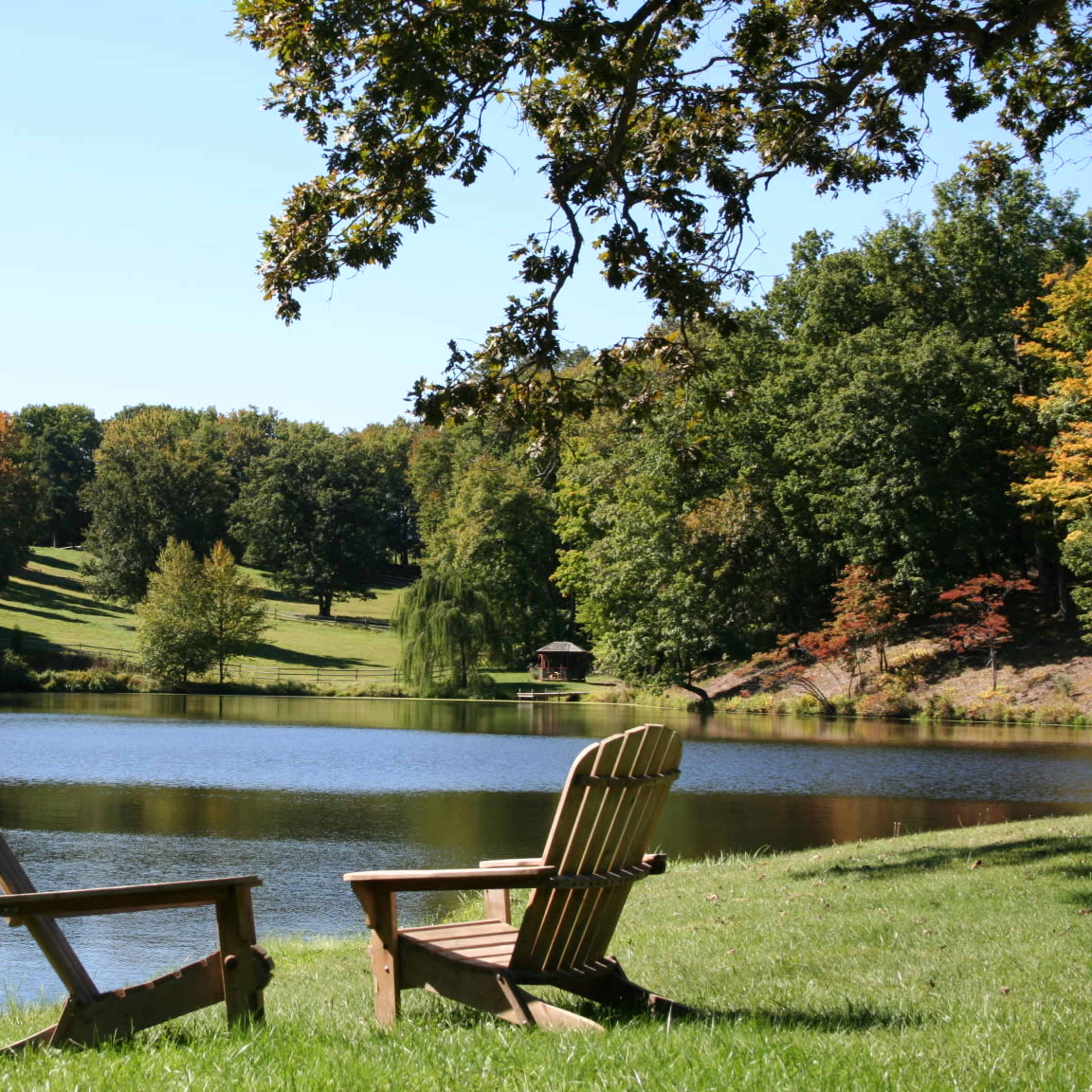 Two wooden chairs are positioned beside a calm lake, surrounded by trees and a grassy shoreline under a clear blue sky.