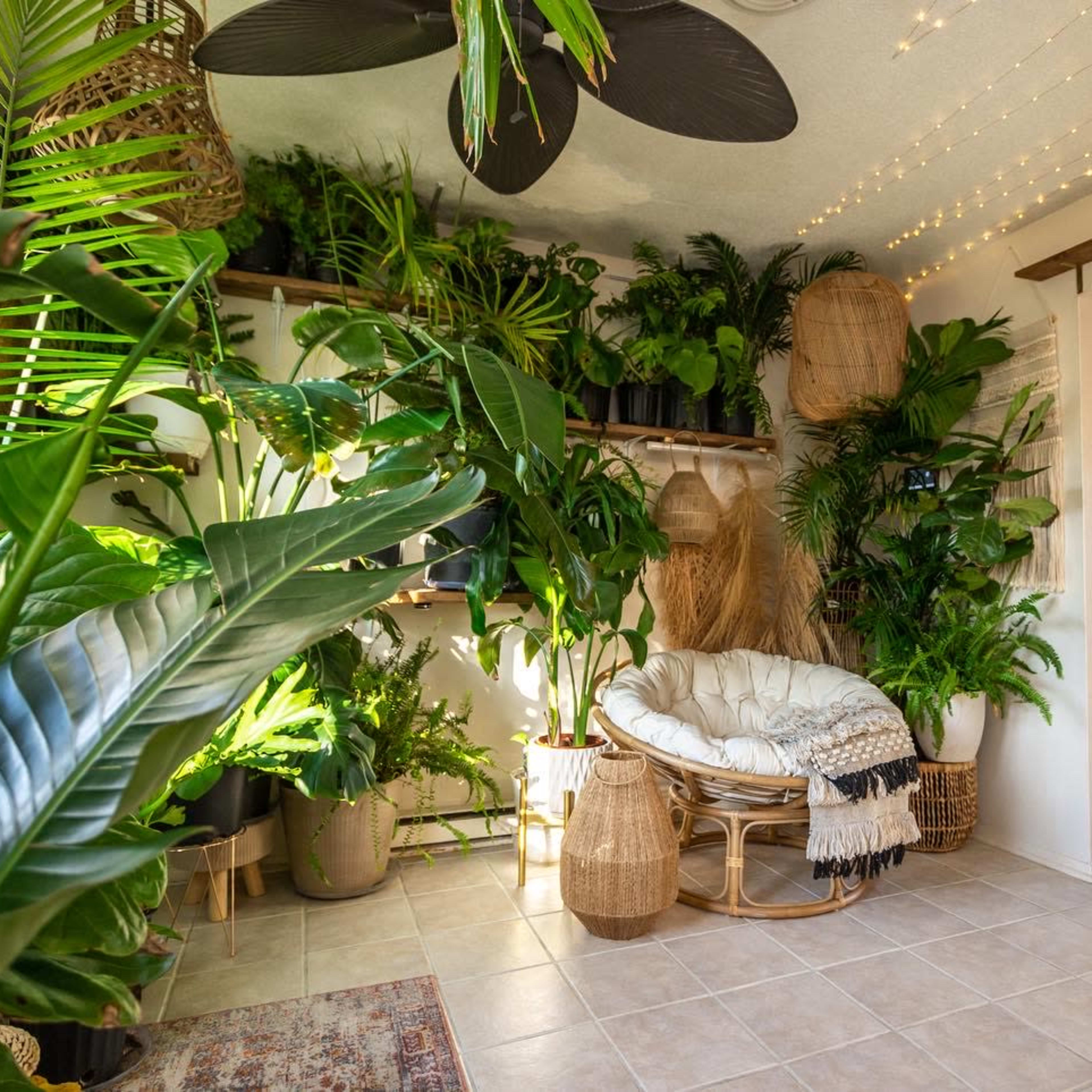A room filled with various indoor plants, featuring a circular wicker chair and decorative hanging elements, with a doorway leading to another space.