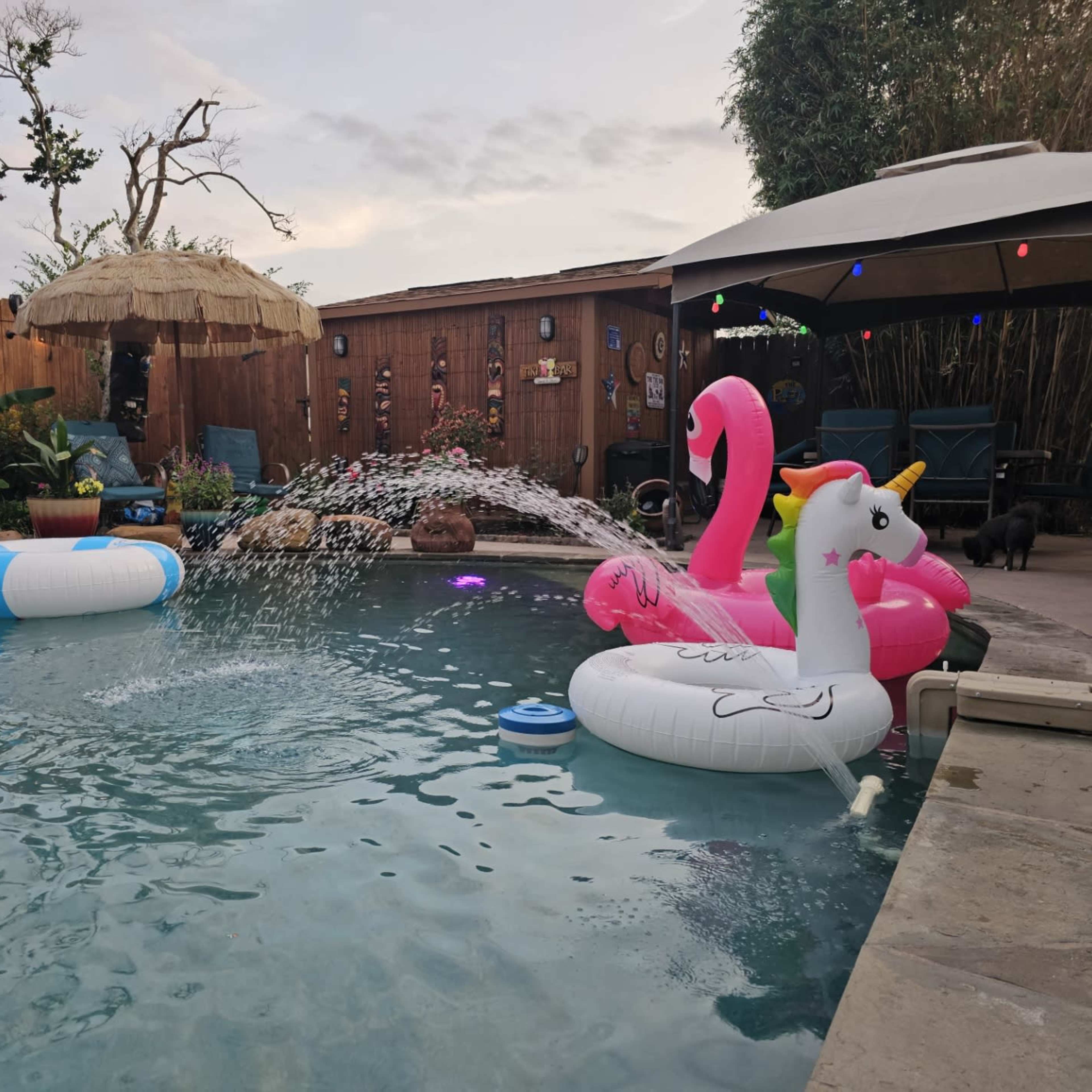 Tropical Poolside Paradise for Outdoor Events in Pasadena Image in Village Grove, Pasadena, TX
