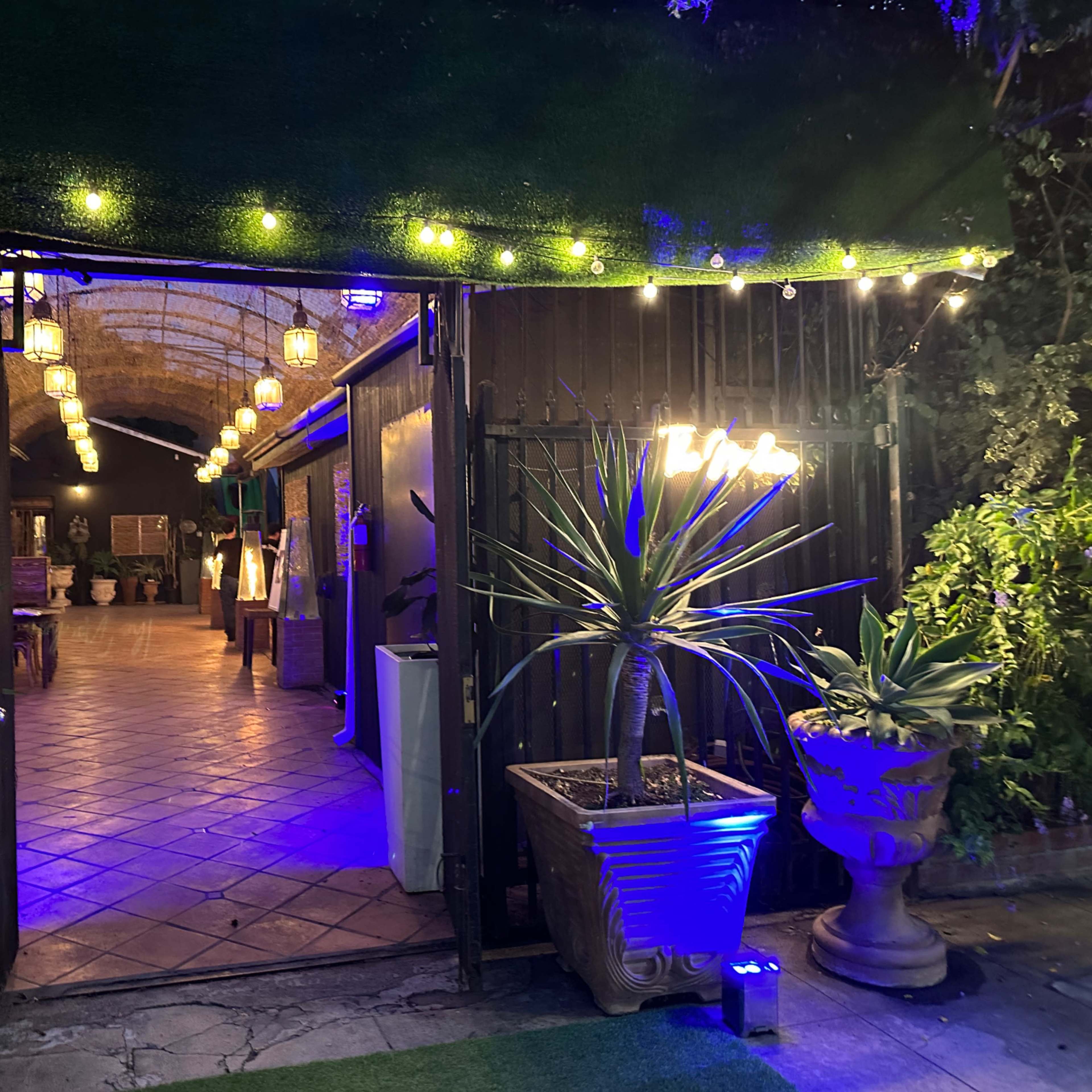 An entrance to a dimly lit outdoor restaurant adorned with string lights and potted plants.