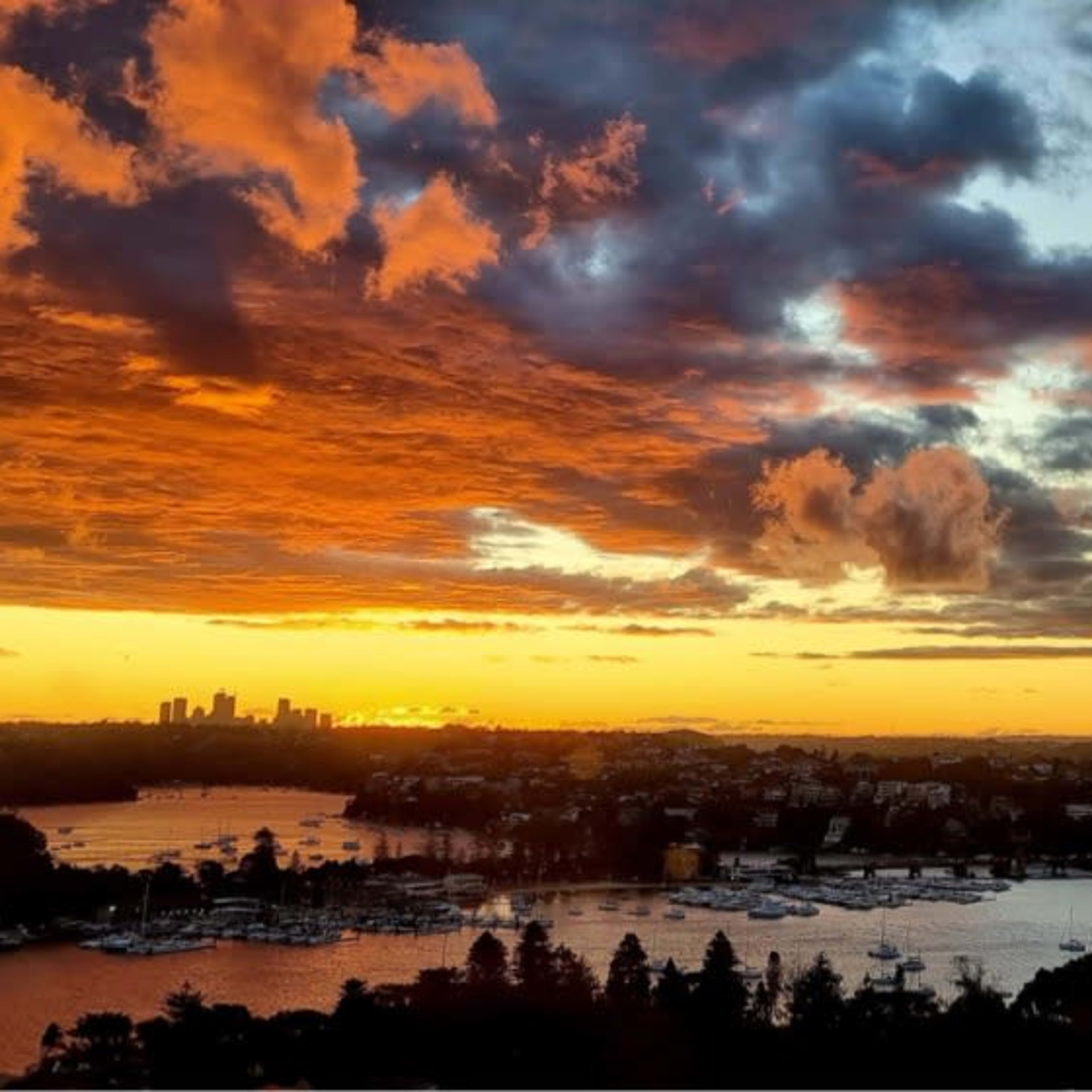 A panoramic view of a sunset over a harbor, with boats anchored and a city skyline in the distance.