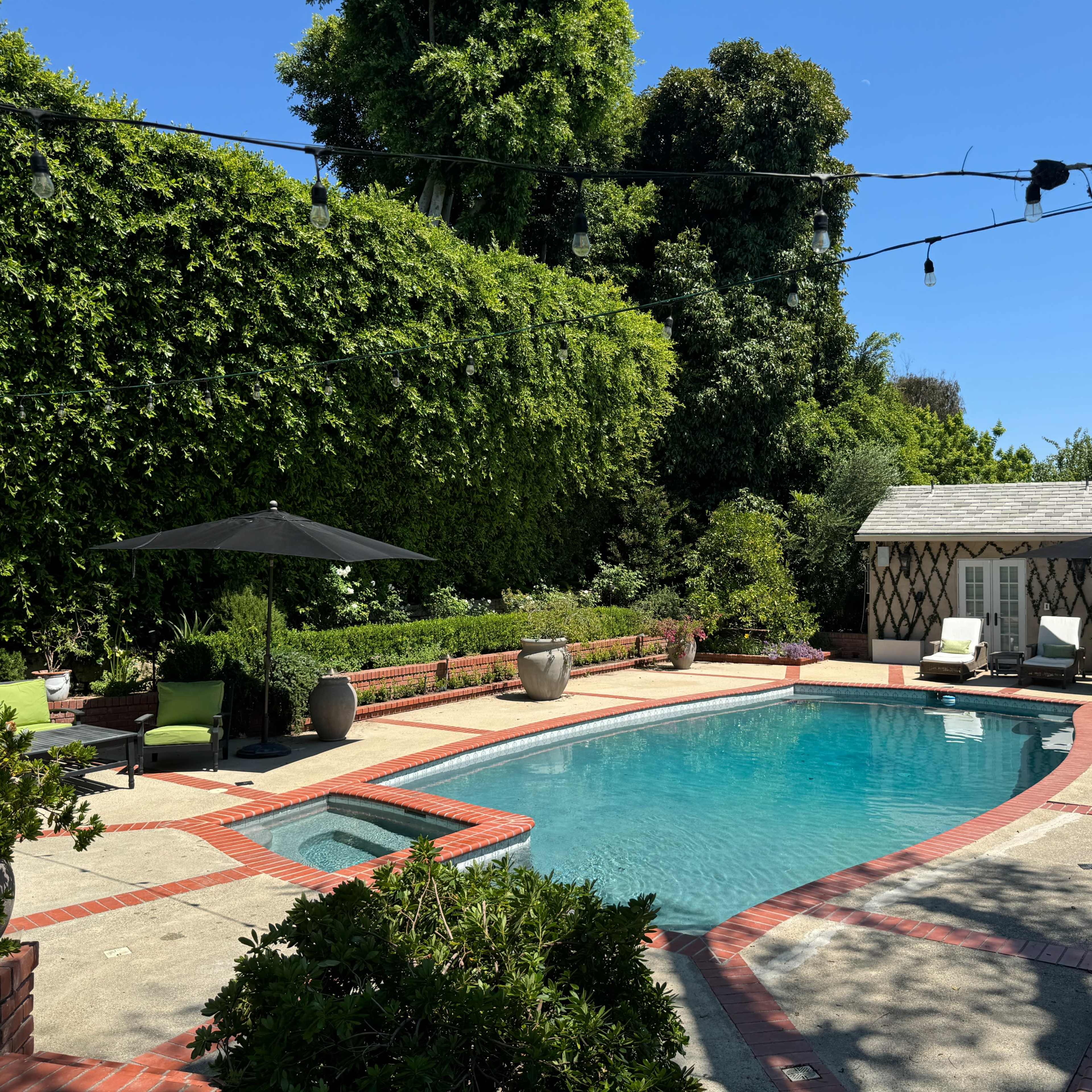 A backyard swimming pool surrounded by greenery, a seating area, and string lights overhead.