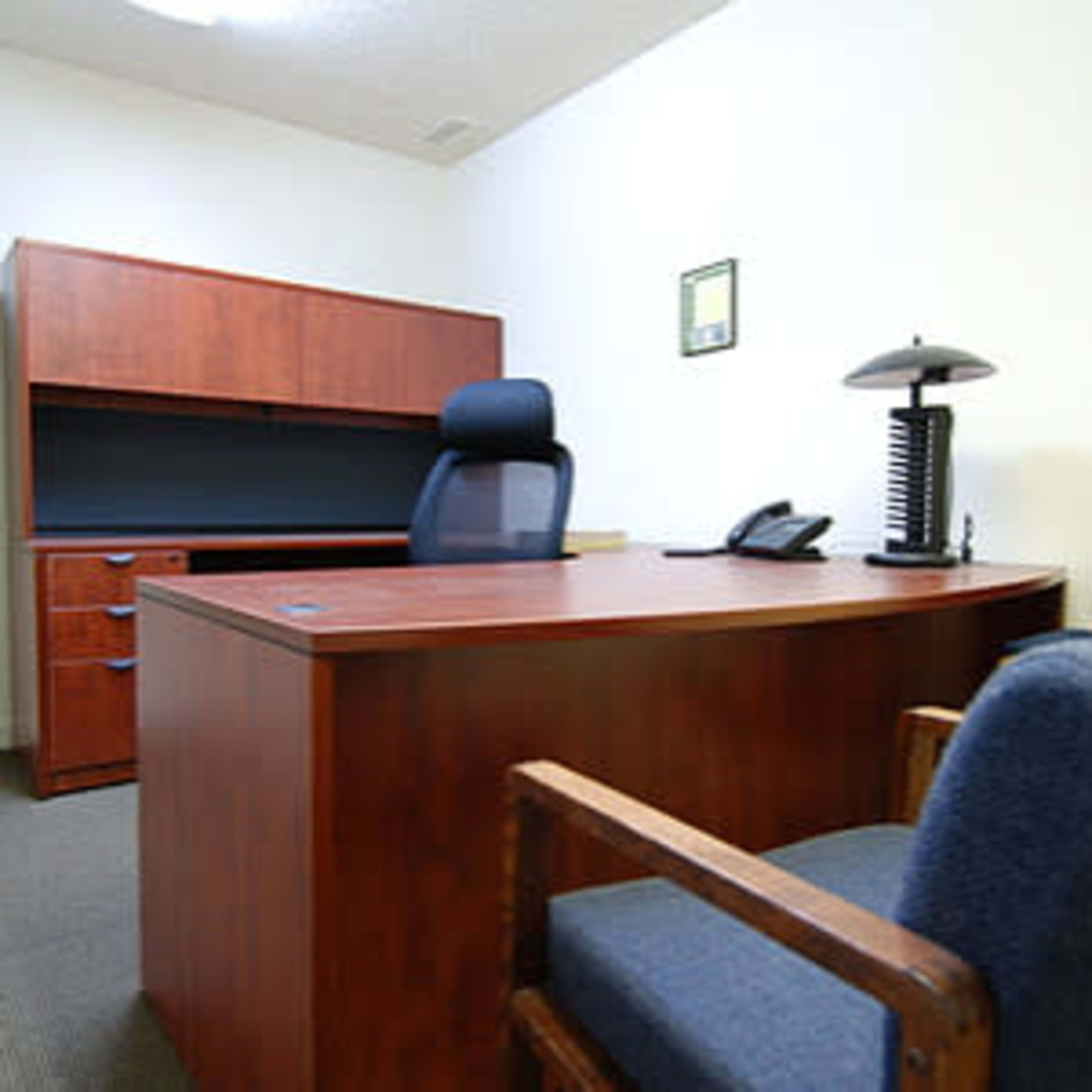 An organized office space featuring a wooden desk, an office chair, a filing cabinet, and a potted plant.