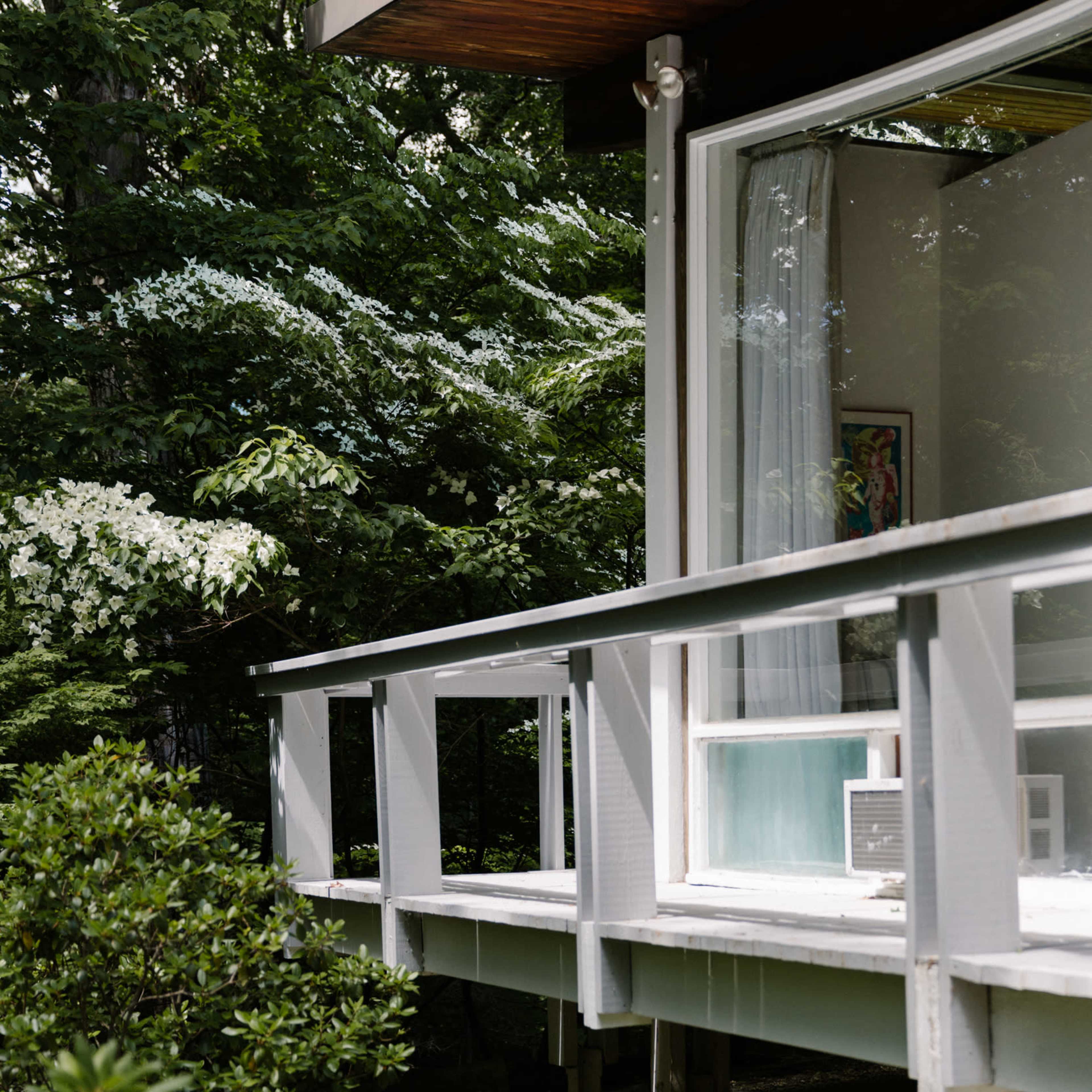 A modern house with a wooden overhang is partially visible, surrounded by lush greenery and trees.