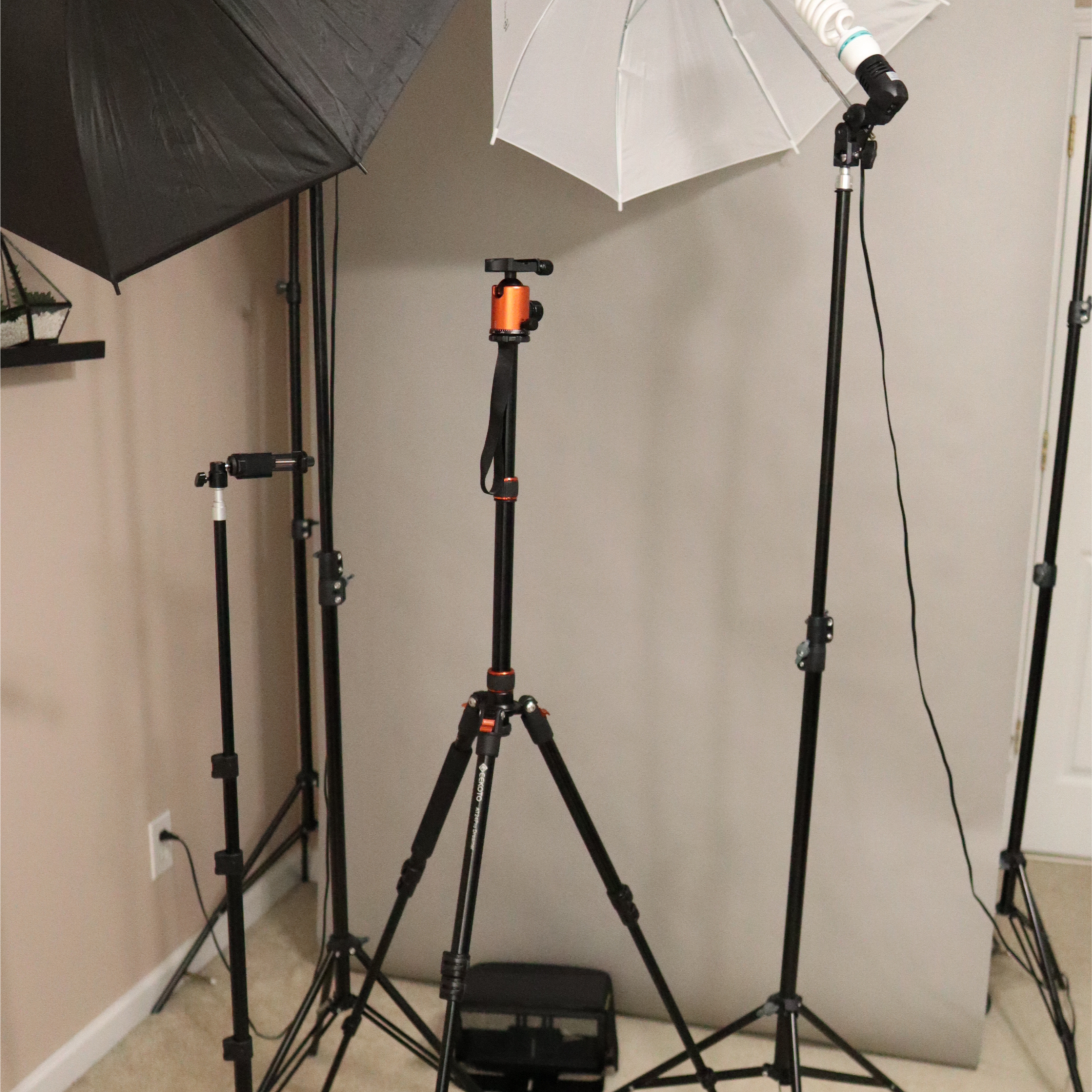 A photography setup featuring three light stands, two with reflective umbrellas and one with a softbox, positioned in front of a gray backdrop.