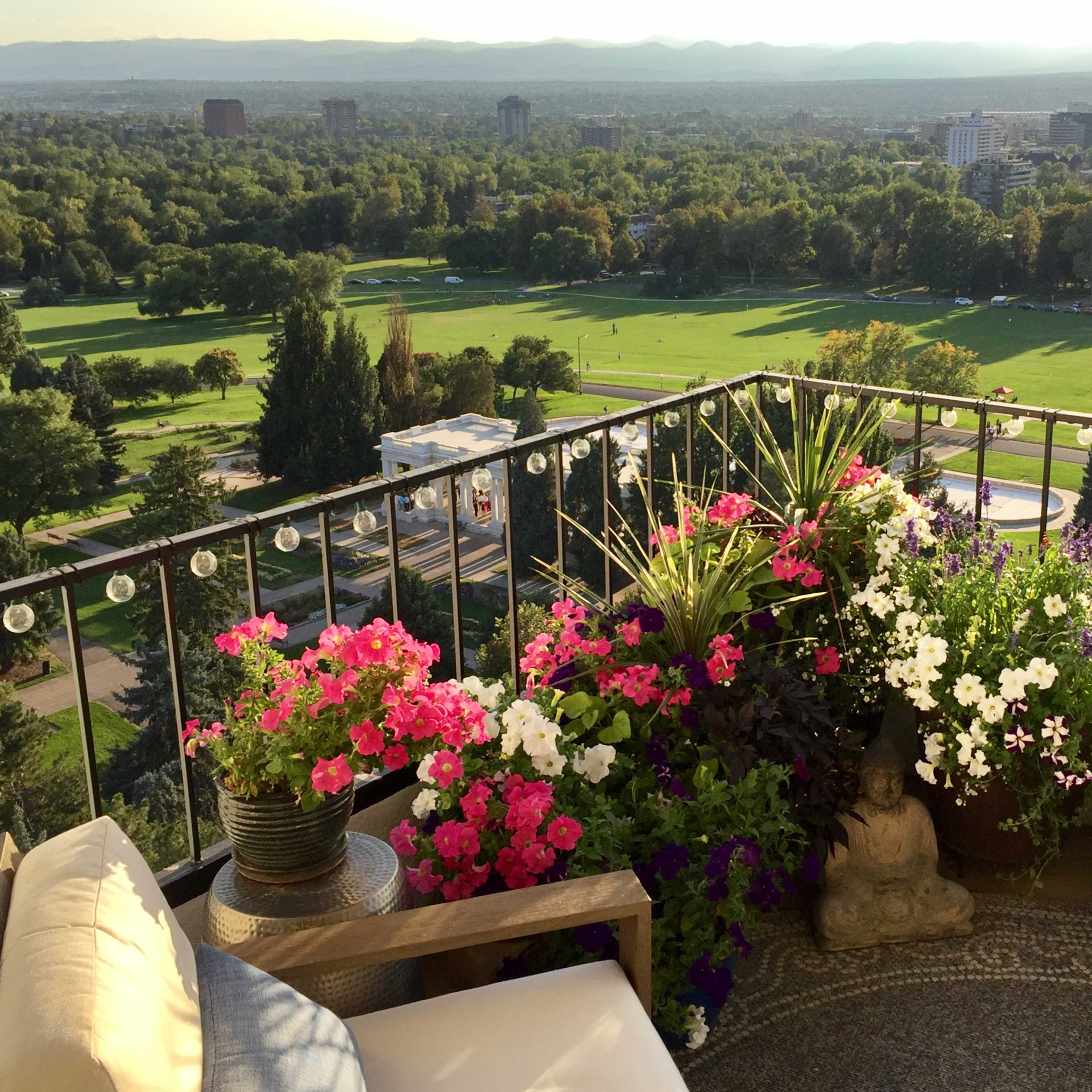 A balcony garden displays colorful flowers in pots, overlooking a green park and distant mountains under a clear sky.