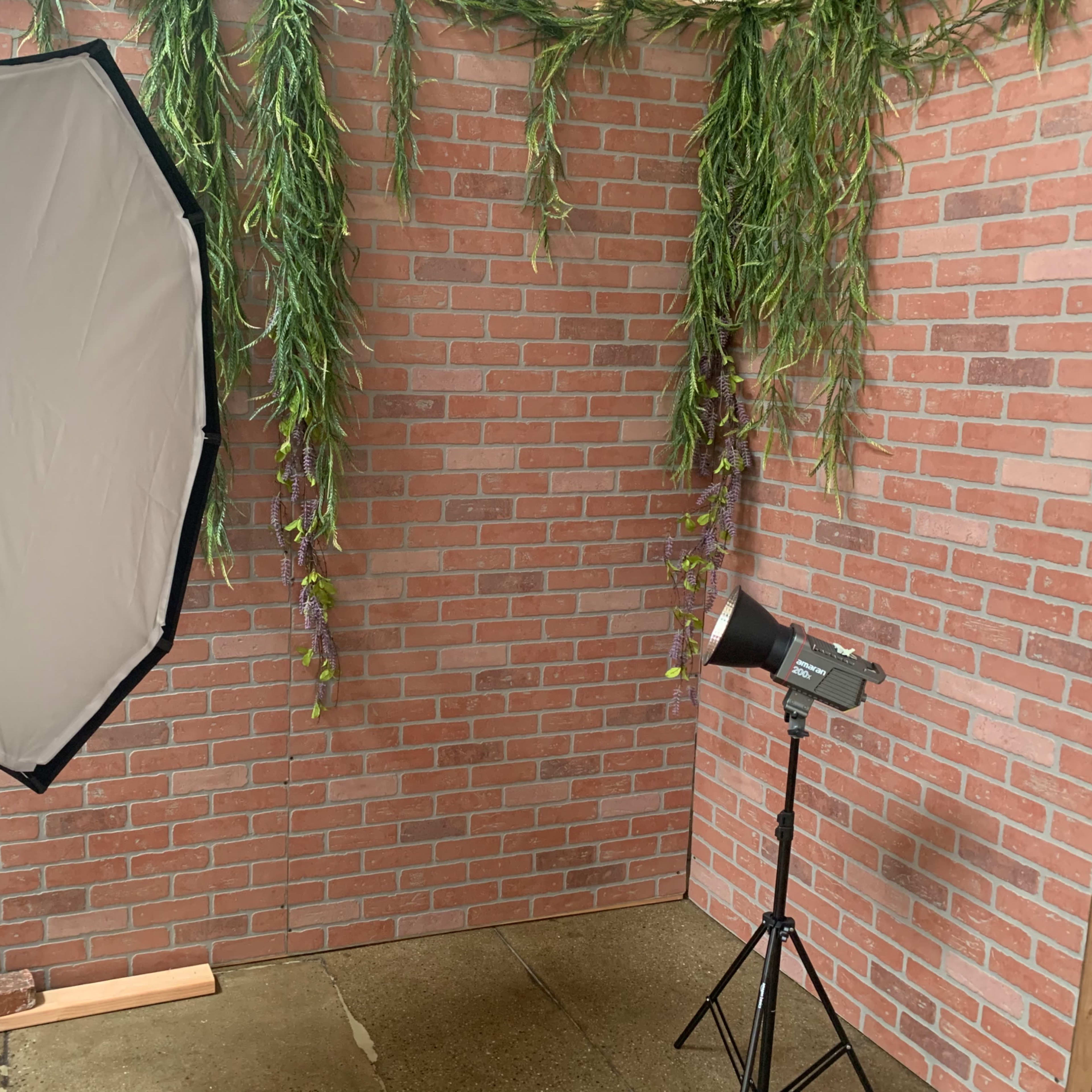 A photography setup with a large softbox and a spotlight positioned in front of a brick wall adorned with hanging greenery.