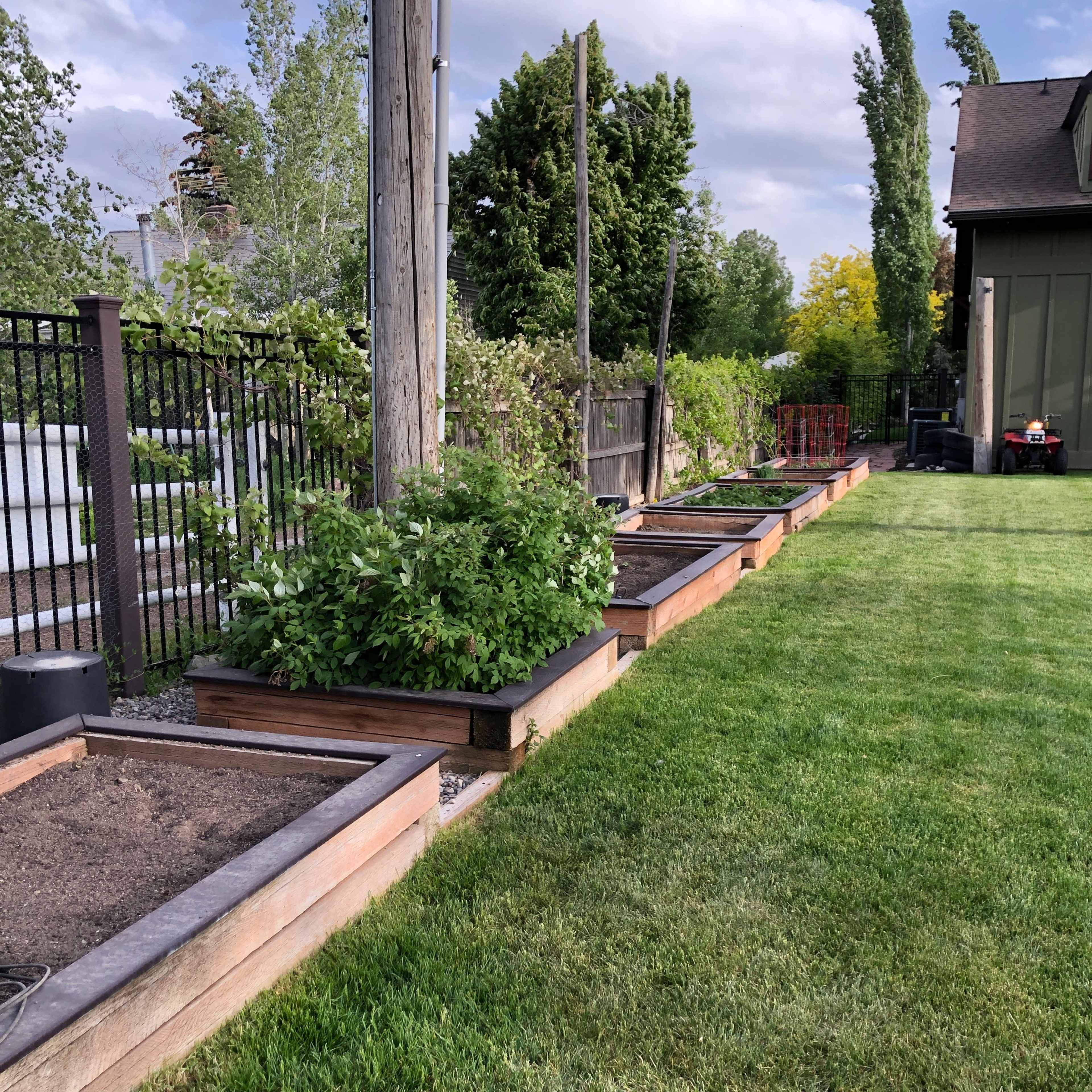 A row of wooden raised garden beds along a grassy area with a fence and trees in the background.
