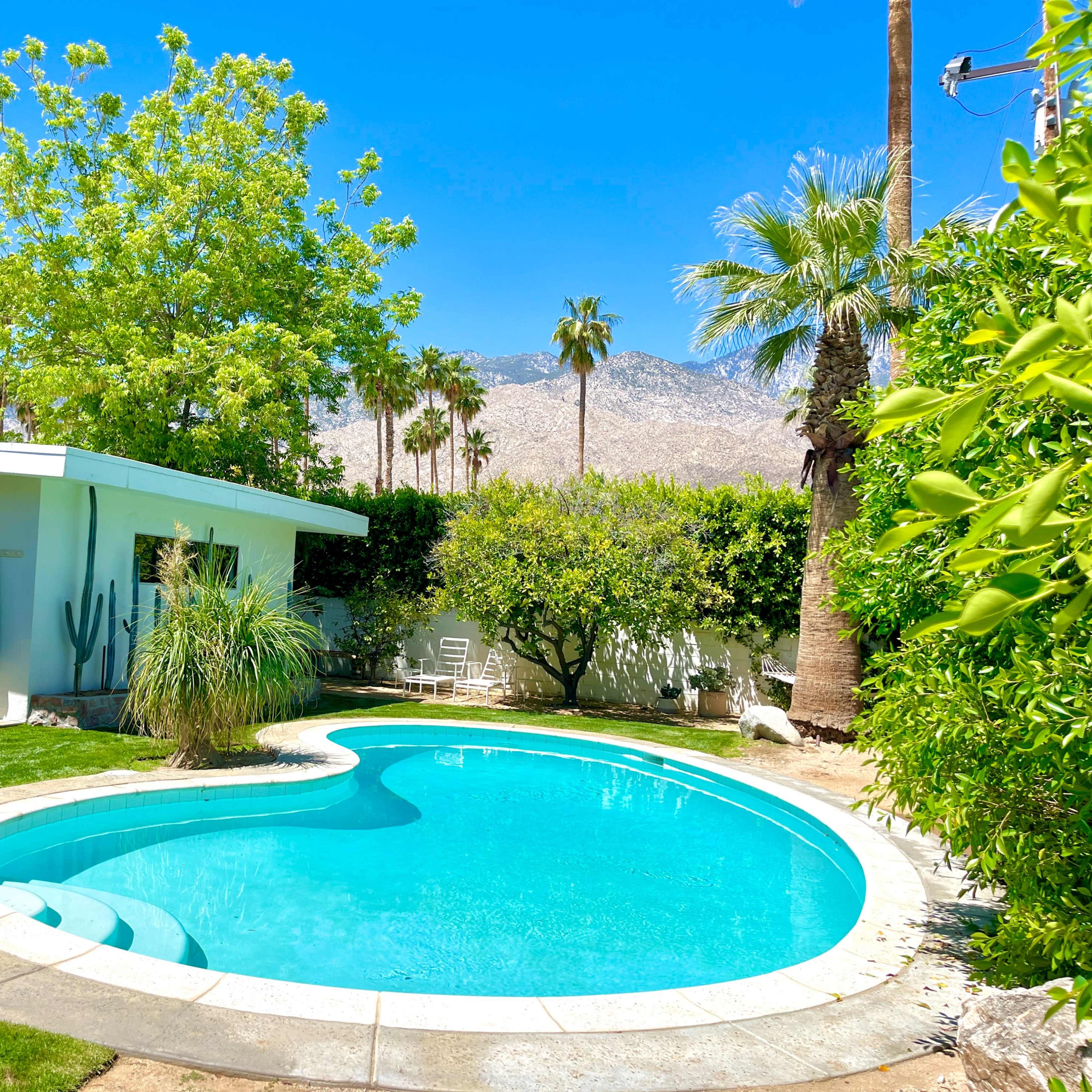A curved swimming pool surrounded by lush greenery, palm trees, and a modern white building in a sunny outdoor setting.