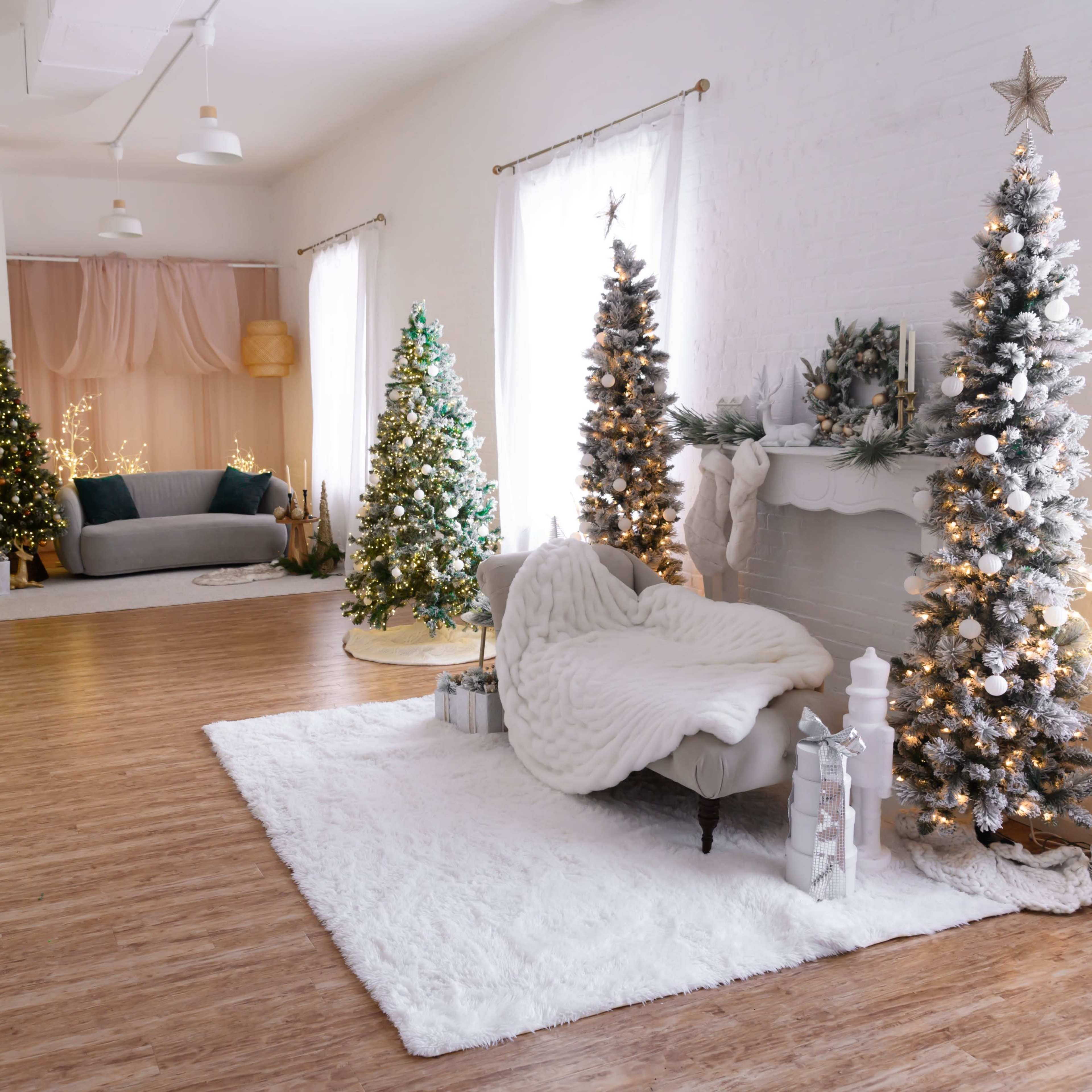 Creative Space Photo Studio Image in Hempstead, Garden City, NY