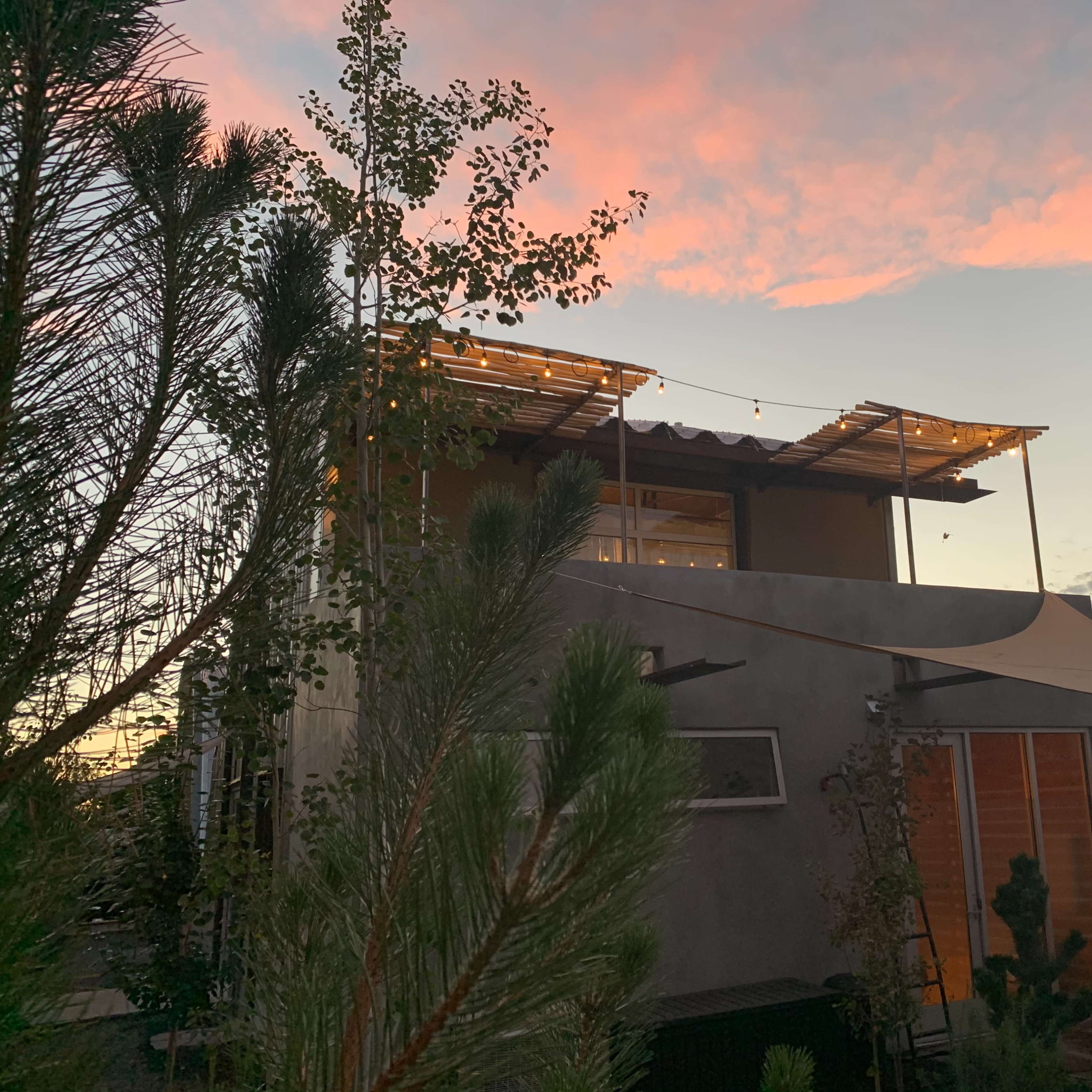 A modern house with a rooftop terrace and string lights is surrounded by trees under a pink and blue sky.