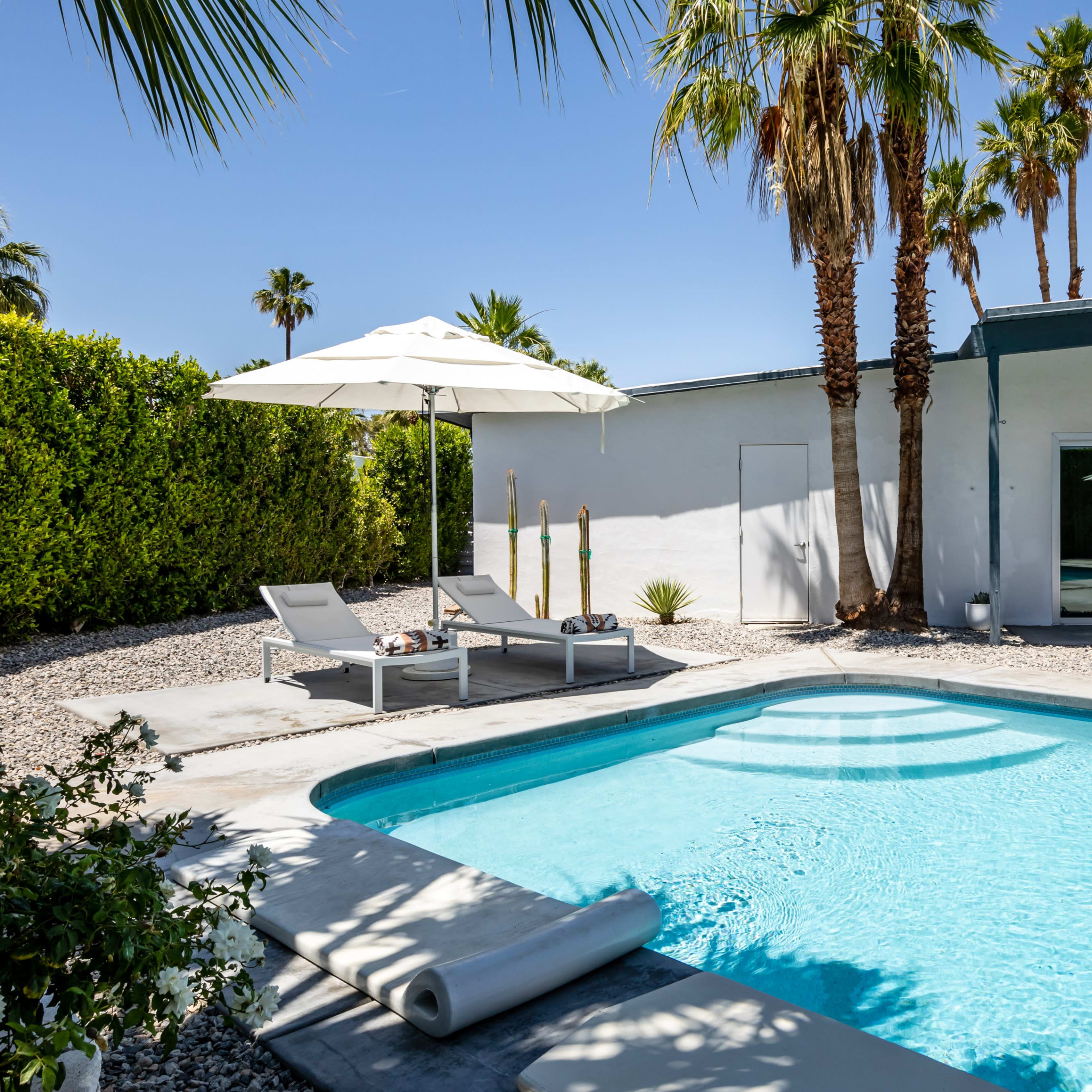 A modern swimming pool surrounded by palm trees, lounge chairs, and a hammock in a sunny outdoor setting.