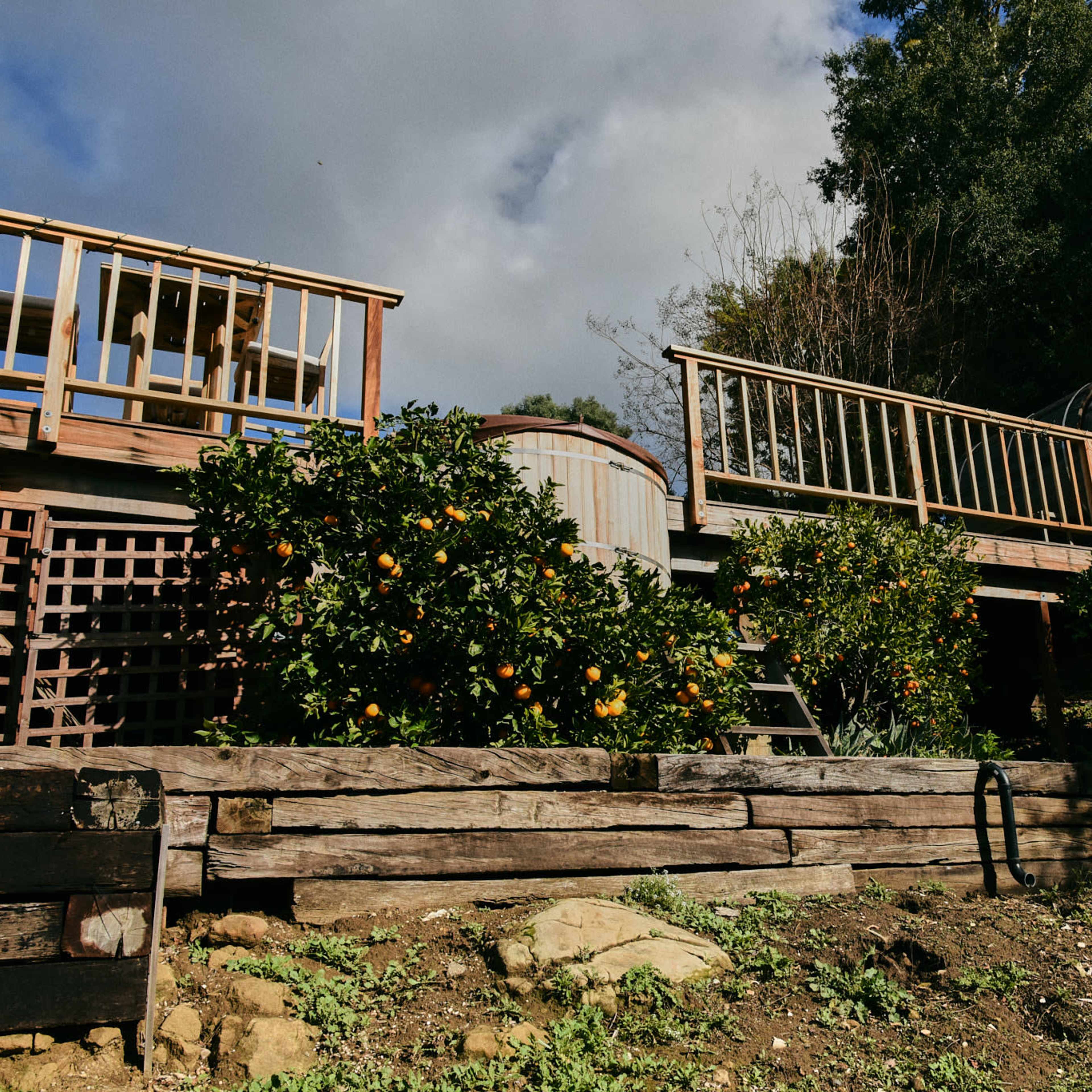 A wooden deck and raised garden with orange trees are visible in a landscape under a partly cloudy sky.
