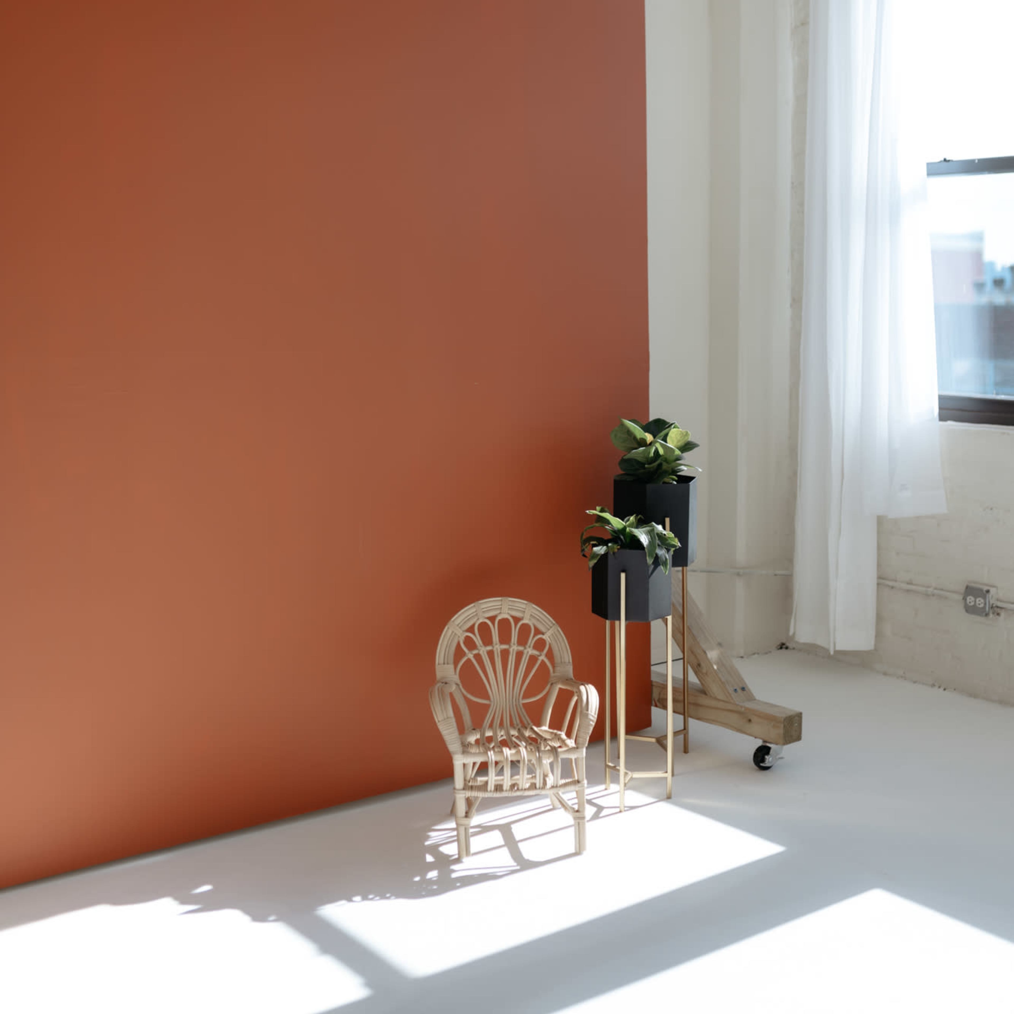 A minimalist room with a large orange wall, a small wooden chair, and a planter with greenery.