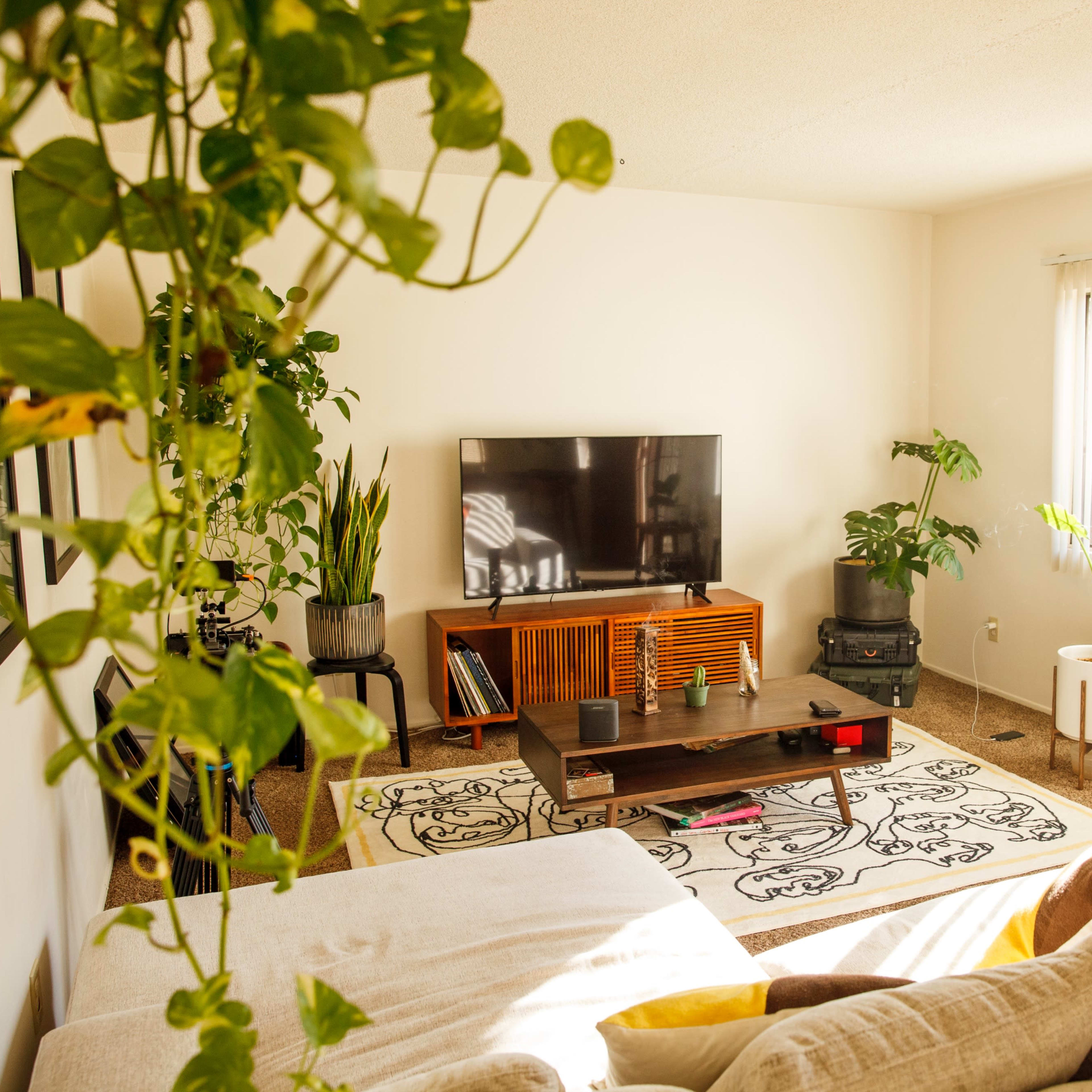 A bright living room with a television on a wooden stand, a coffee table, plants, and a large window with blinds.