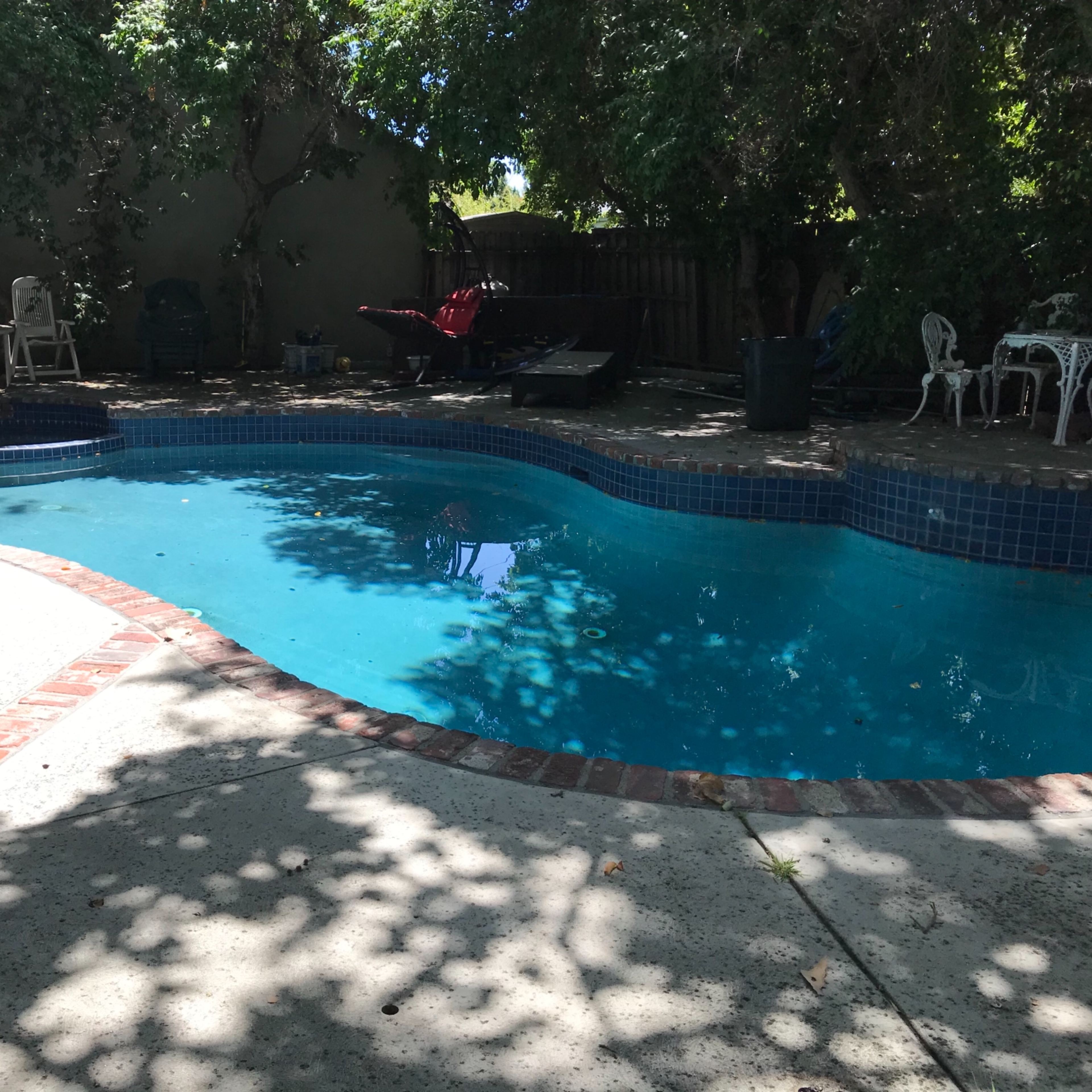 A swimming pool surrounded by trees and patio furniture in a shaded outdoor area.