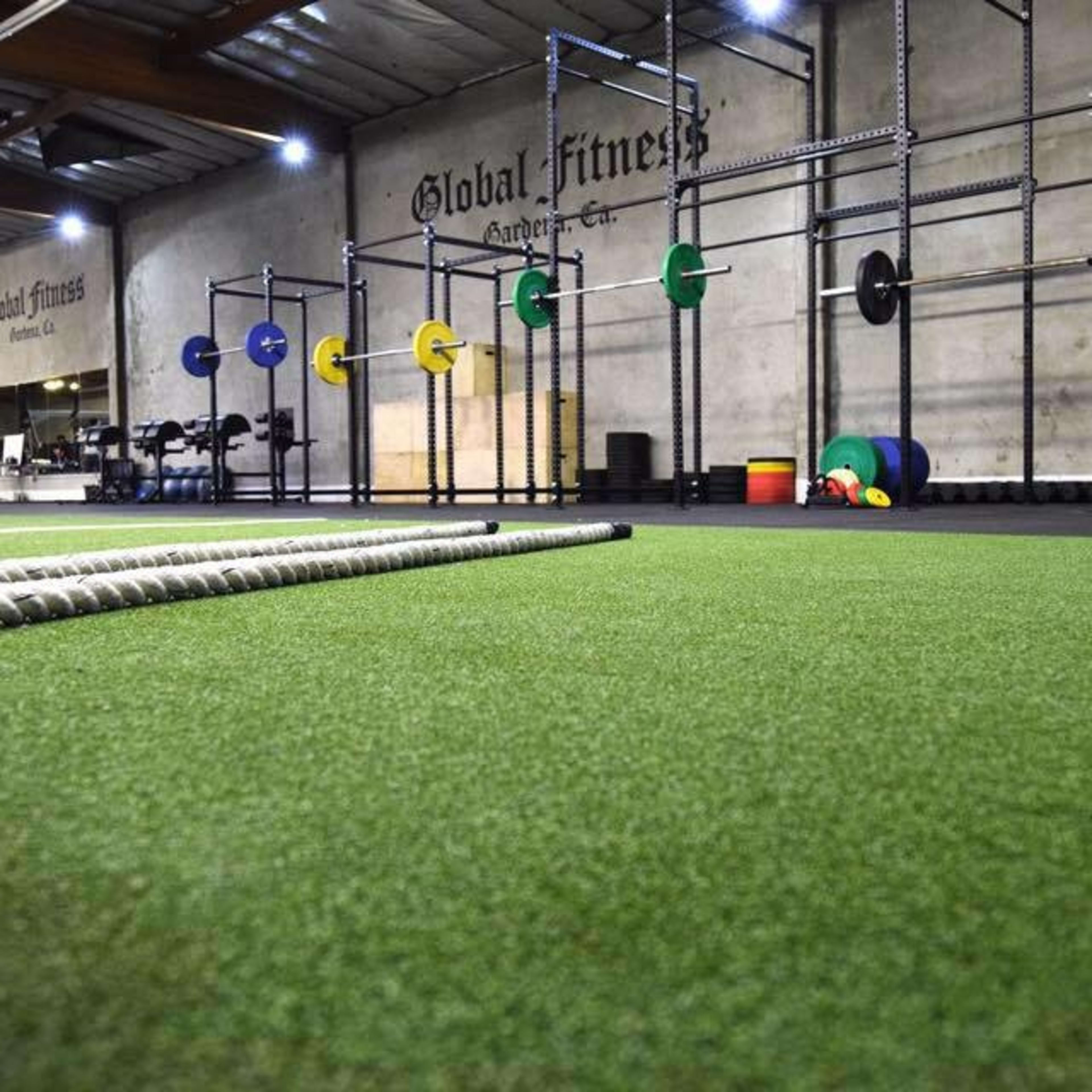 An indoor gym with artificial turf, weightlifting equipment, and various fitness accessories.