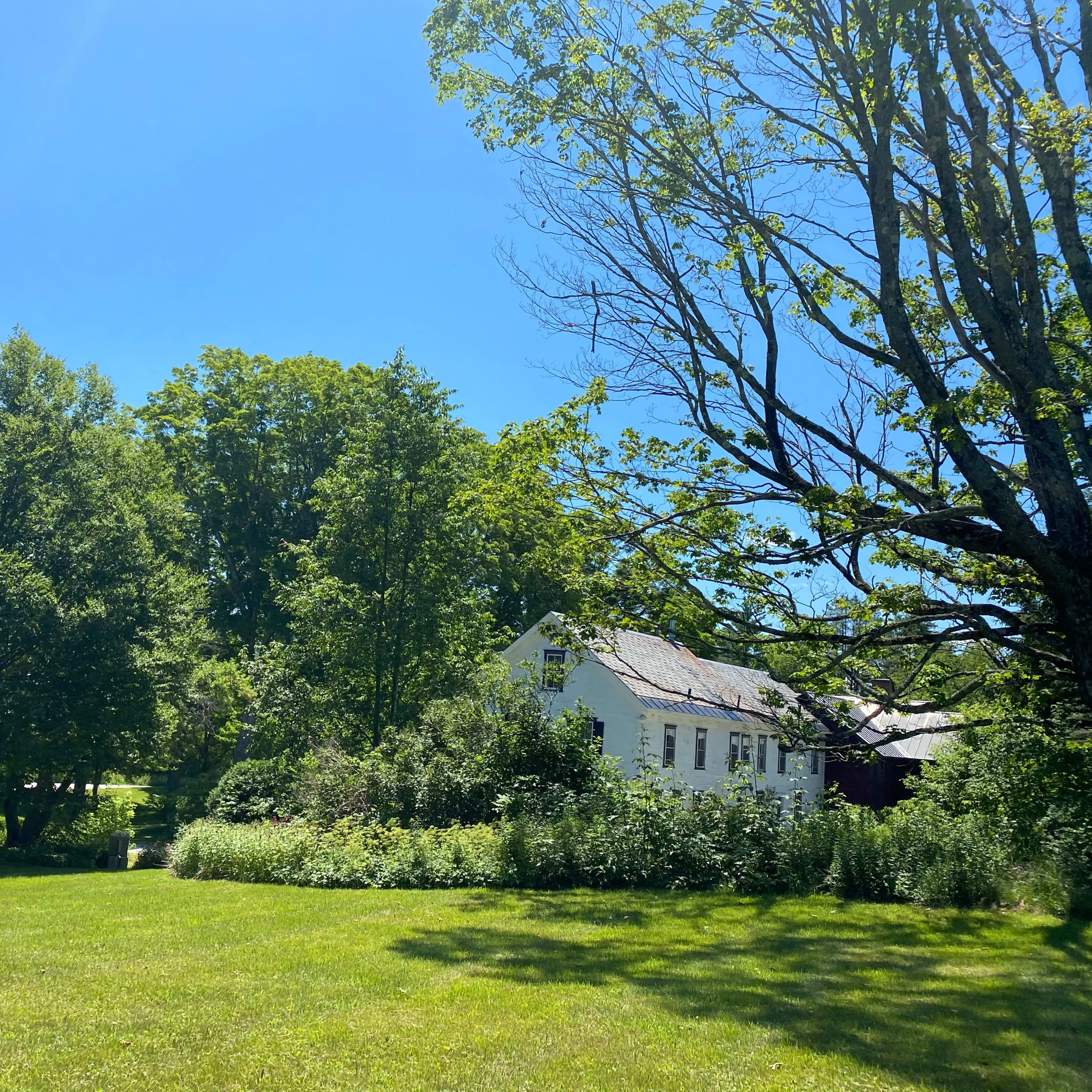 A white house with a sloped roof is situated among tall trees and a grassy area under a clear blue sky.