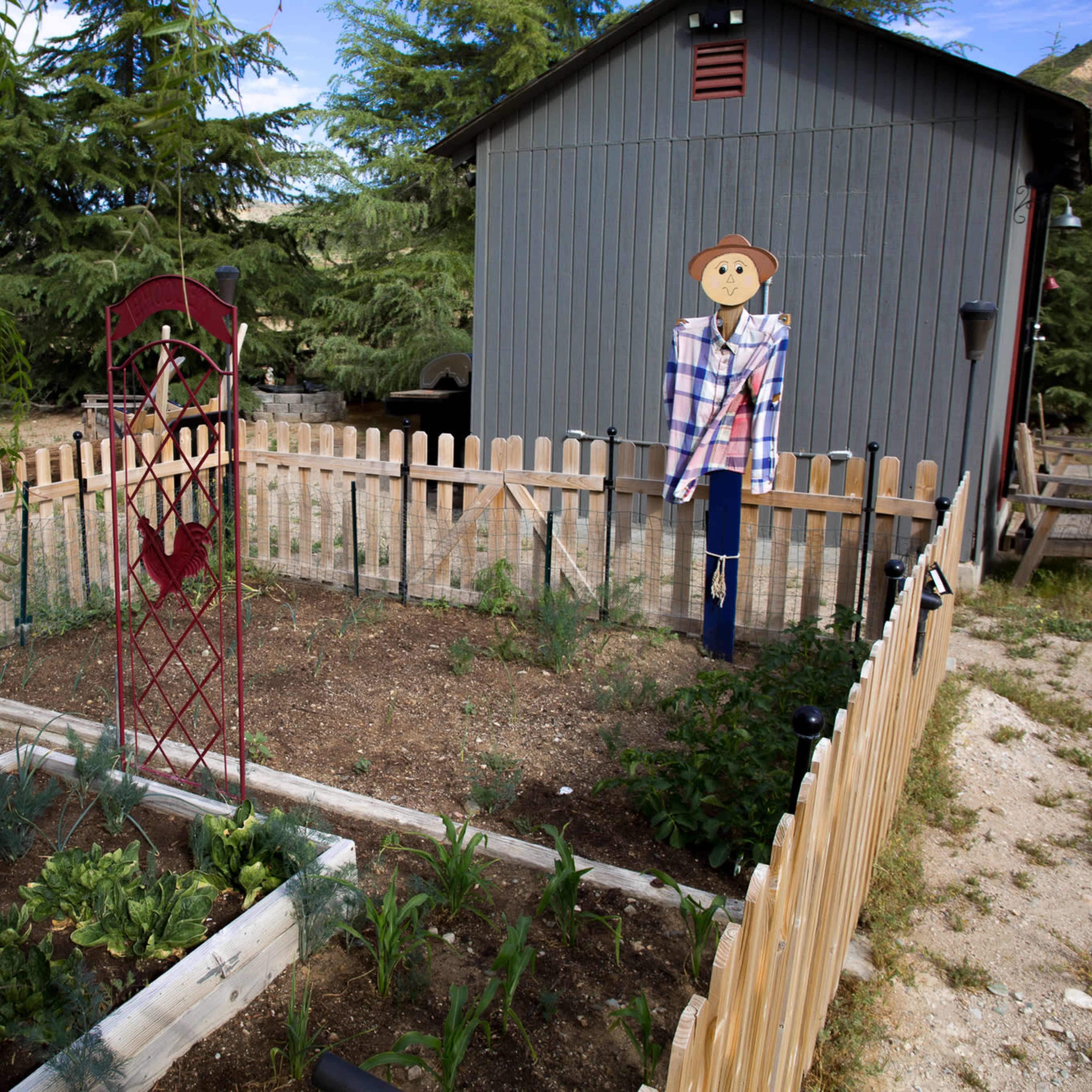 A wooden-fenced garden features a scarecrow, crops, and a decorative windmill against the backdrop of a gray shed.