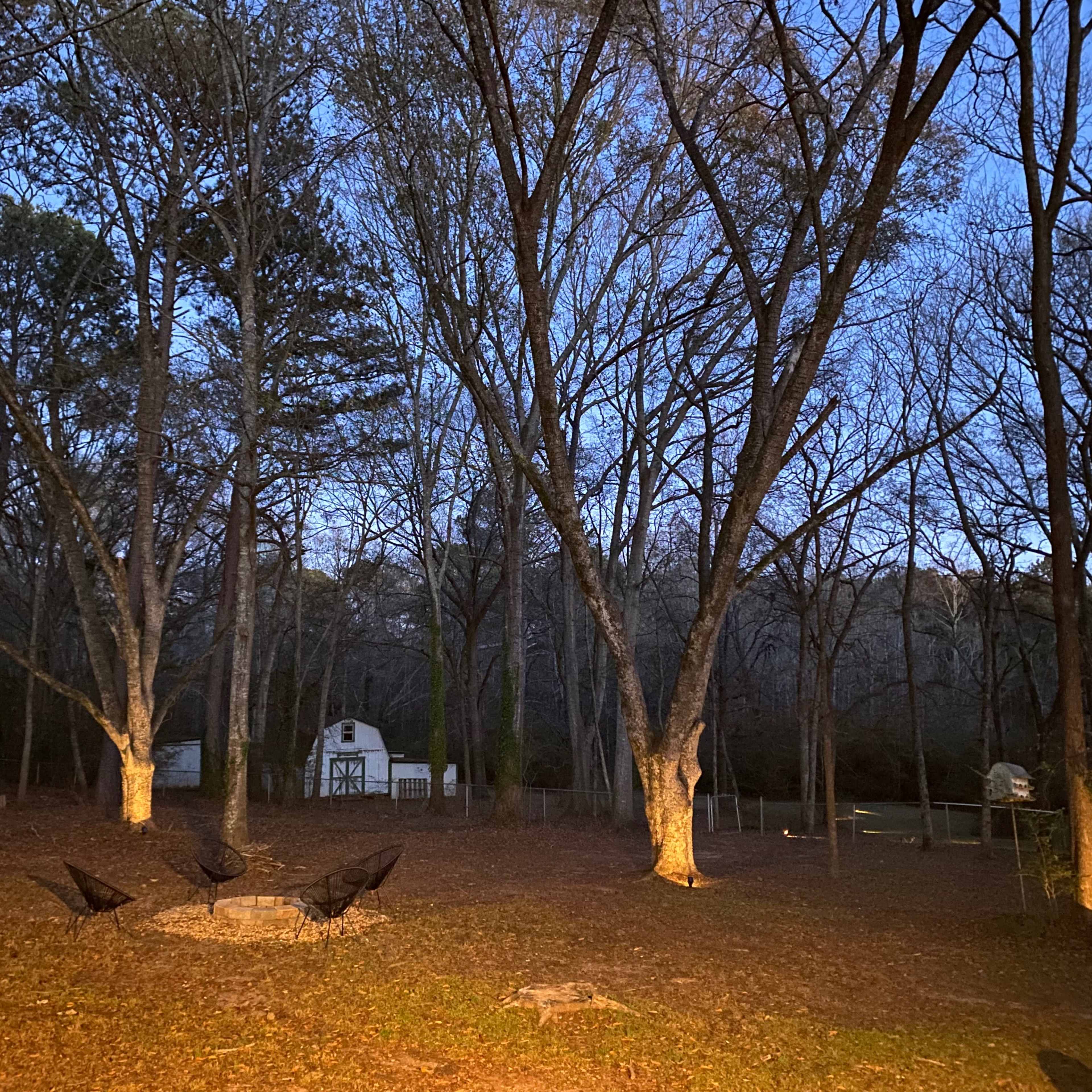 A wooded area at dusk features bare trees surrounding a circular fire pit and a small white structure in the background.