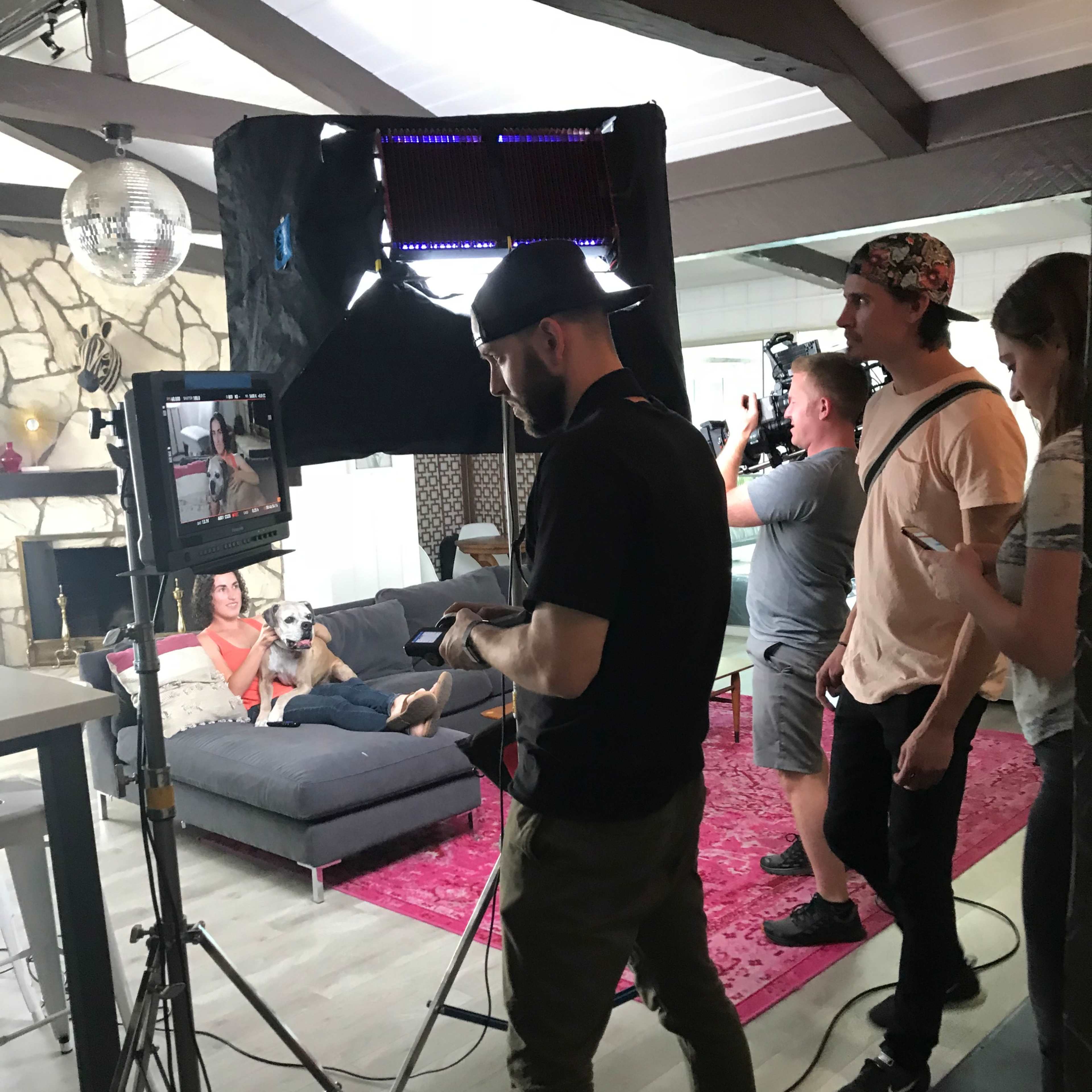 A filming crew sets up equipment in a living room, with a person relaxing on a couch alongside a dog.