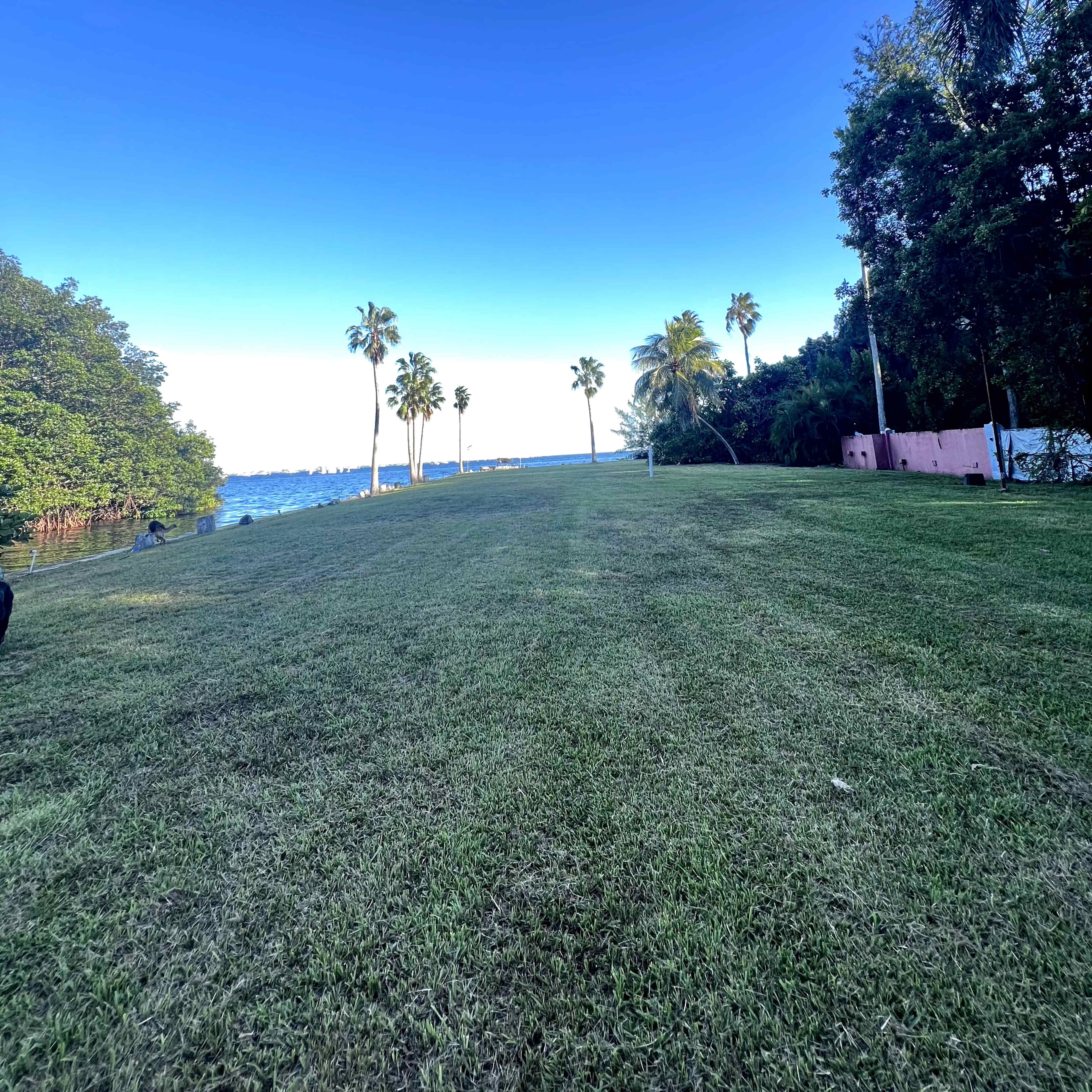 The Hidden Water-View Land at The Grove Image in Coconut Grove, Miami, FL