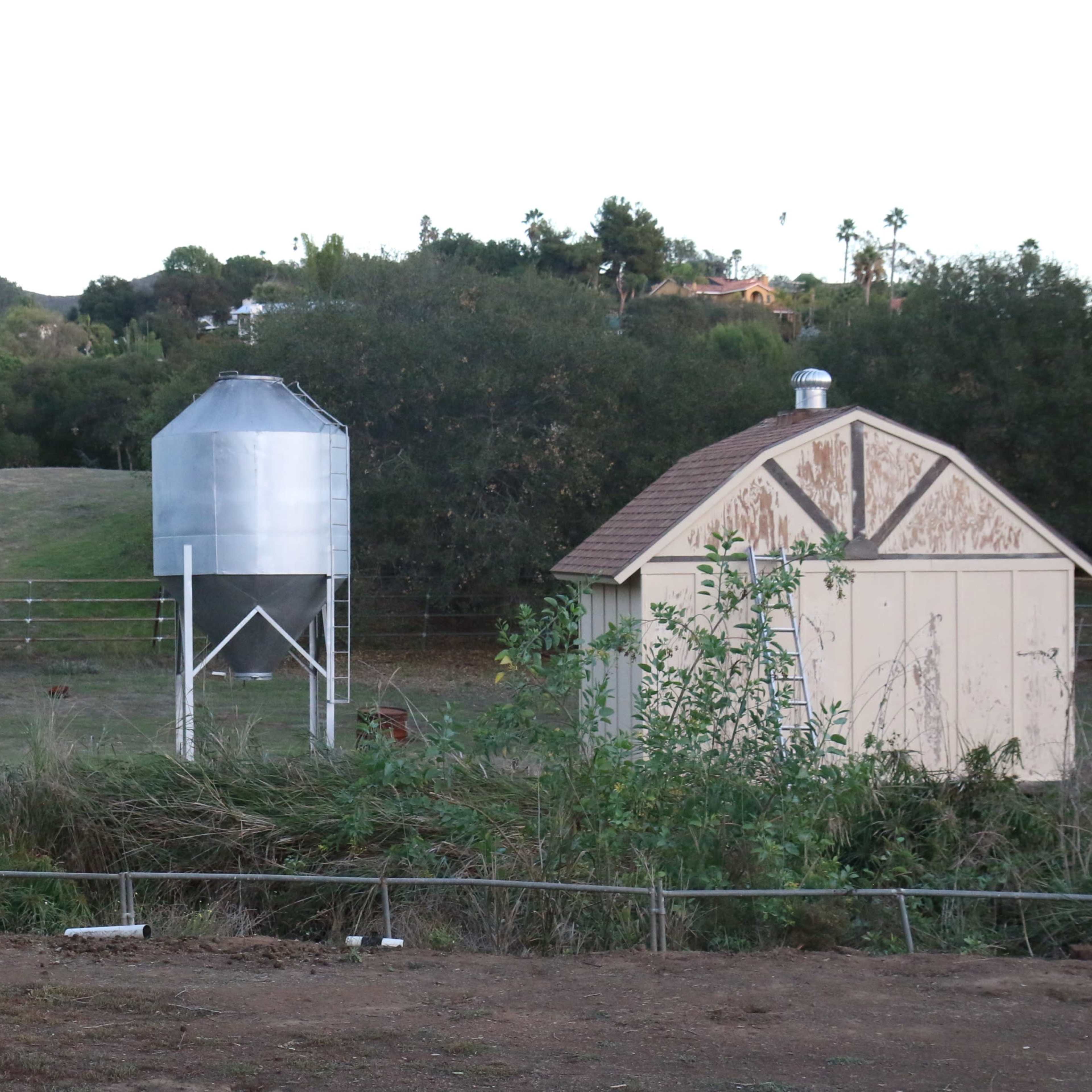 A rural landscape featuring a metal grain silo, a small shed, and a fenced area near a creek surrounded by greenery.