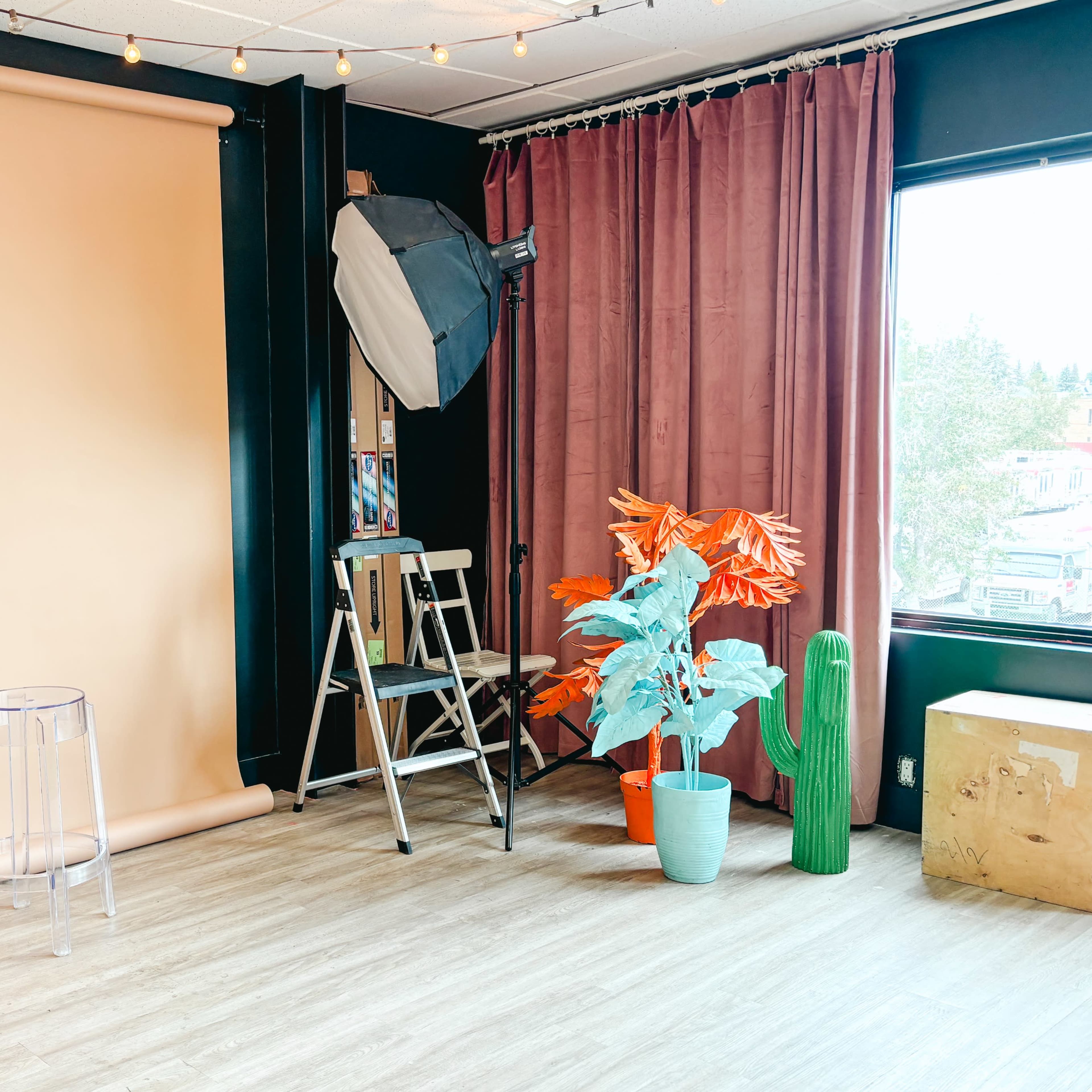 Multi-Set Photo Studio - Vintage Neon Night Garden Image in Calgary, Calgary, AB