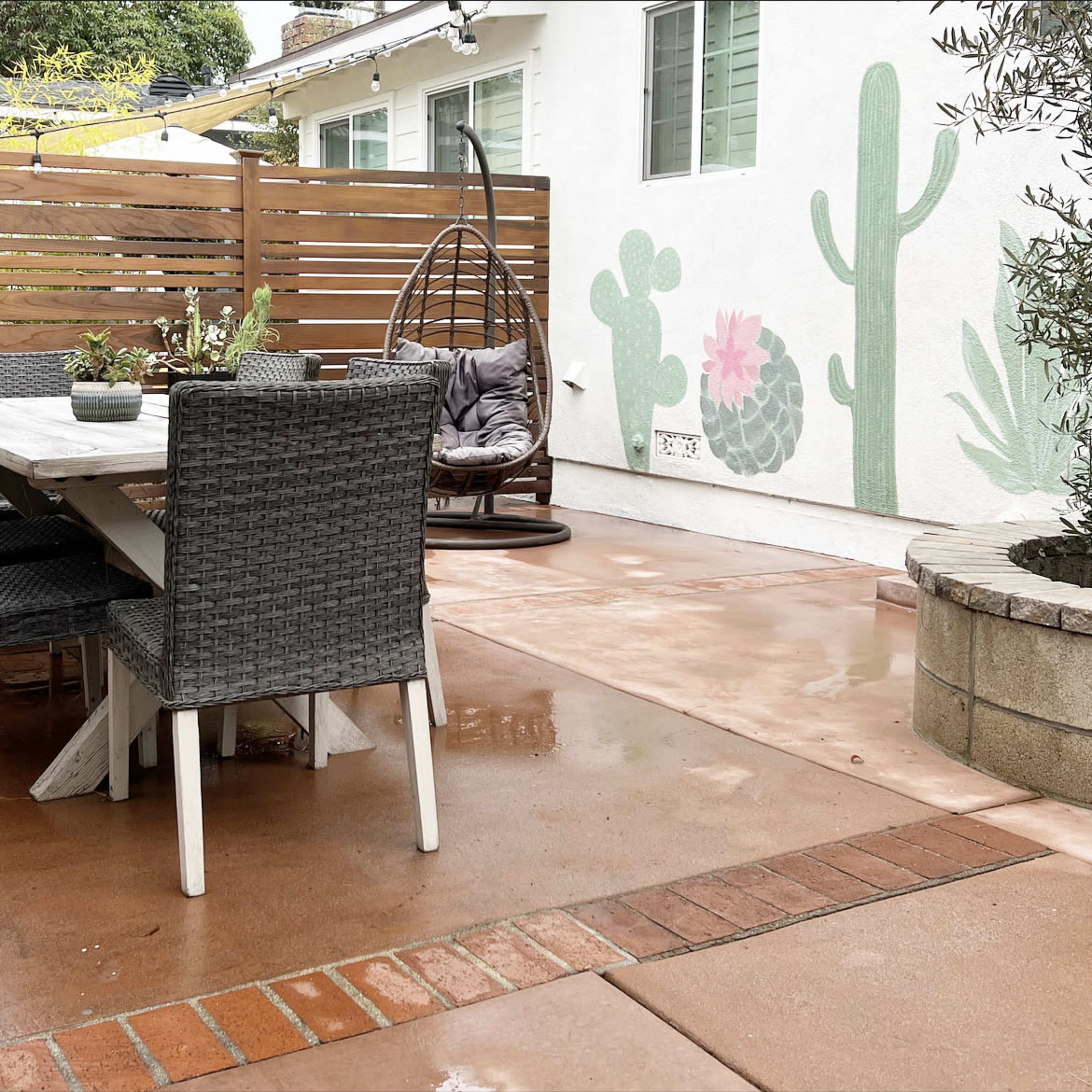A patio area with a wooden table and chairs, a hanging chair, and a wall featuring cactus-themed artwork.