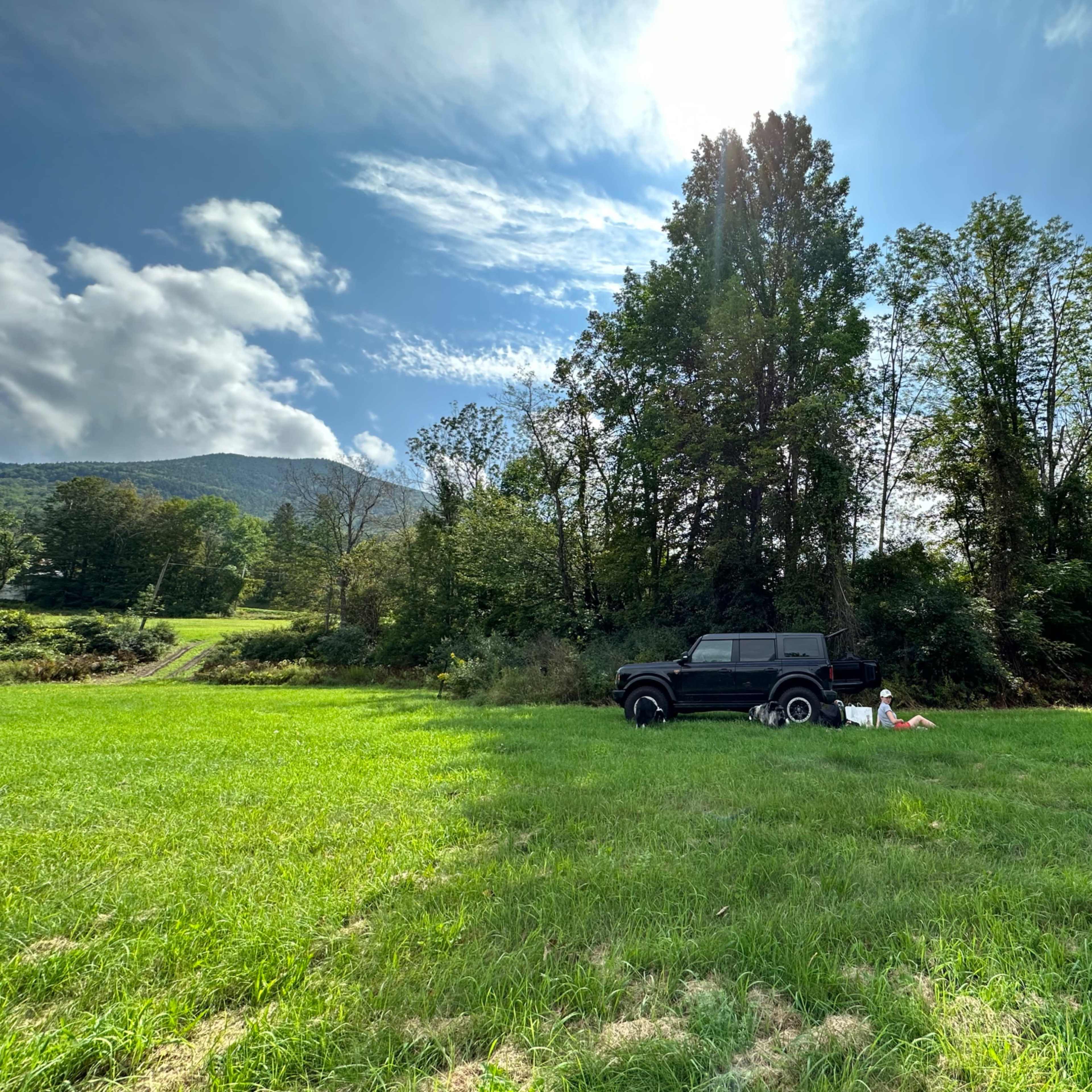A black SUV is parked beside a grove of trees in a grassy field under a partly cloudy sky.