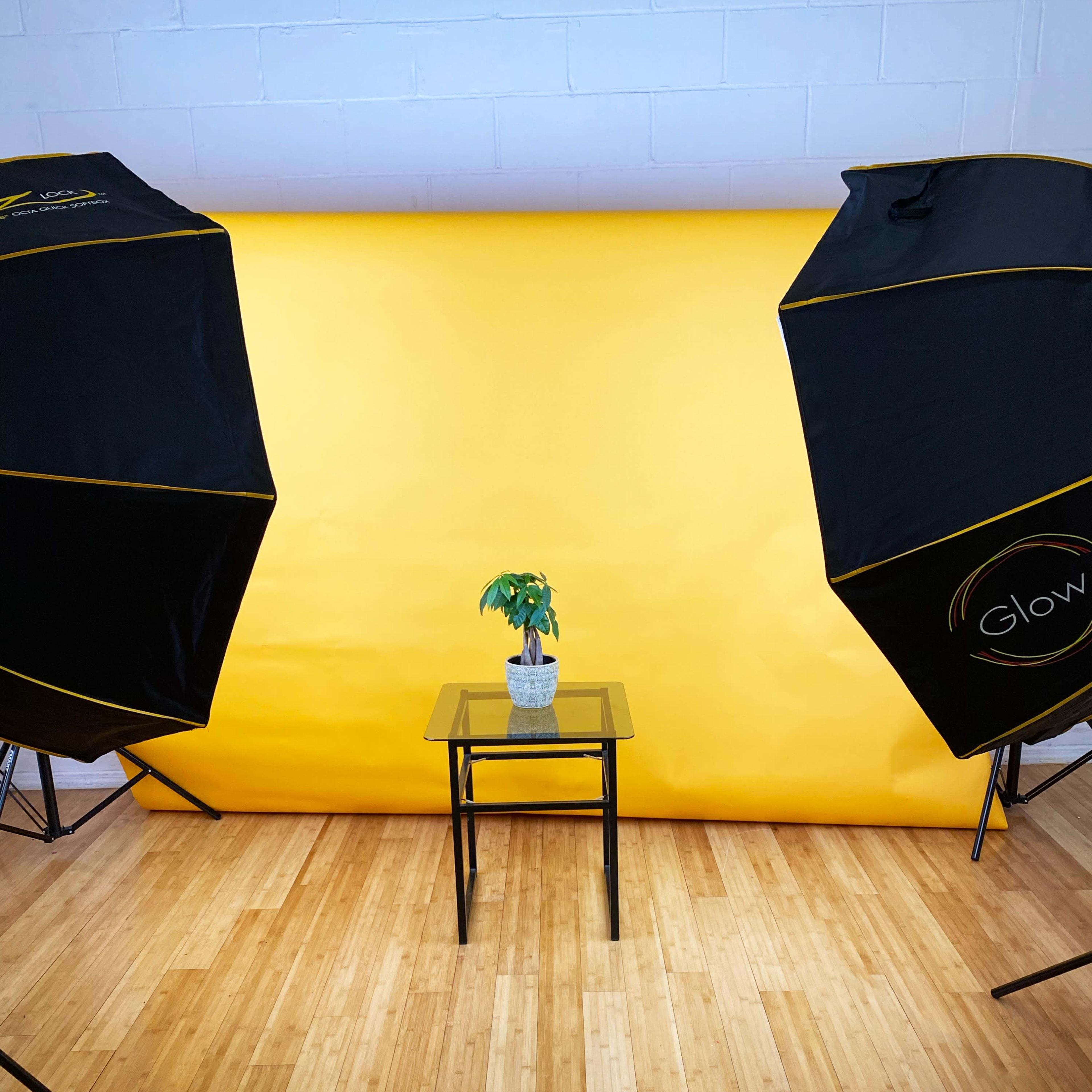 A potted plant sits on a glass table in front of a bright yellow backdrop, flanked by two softbox lighting setups.