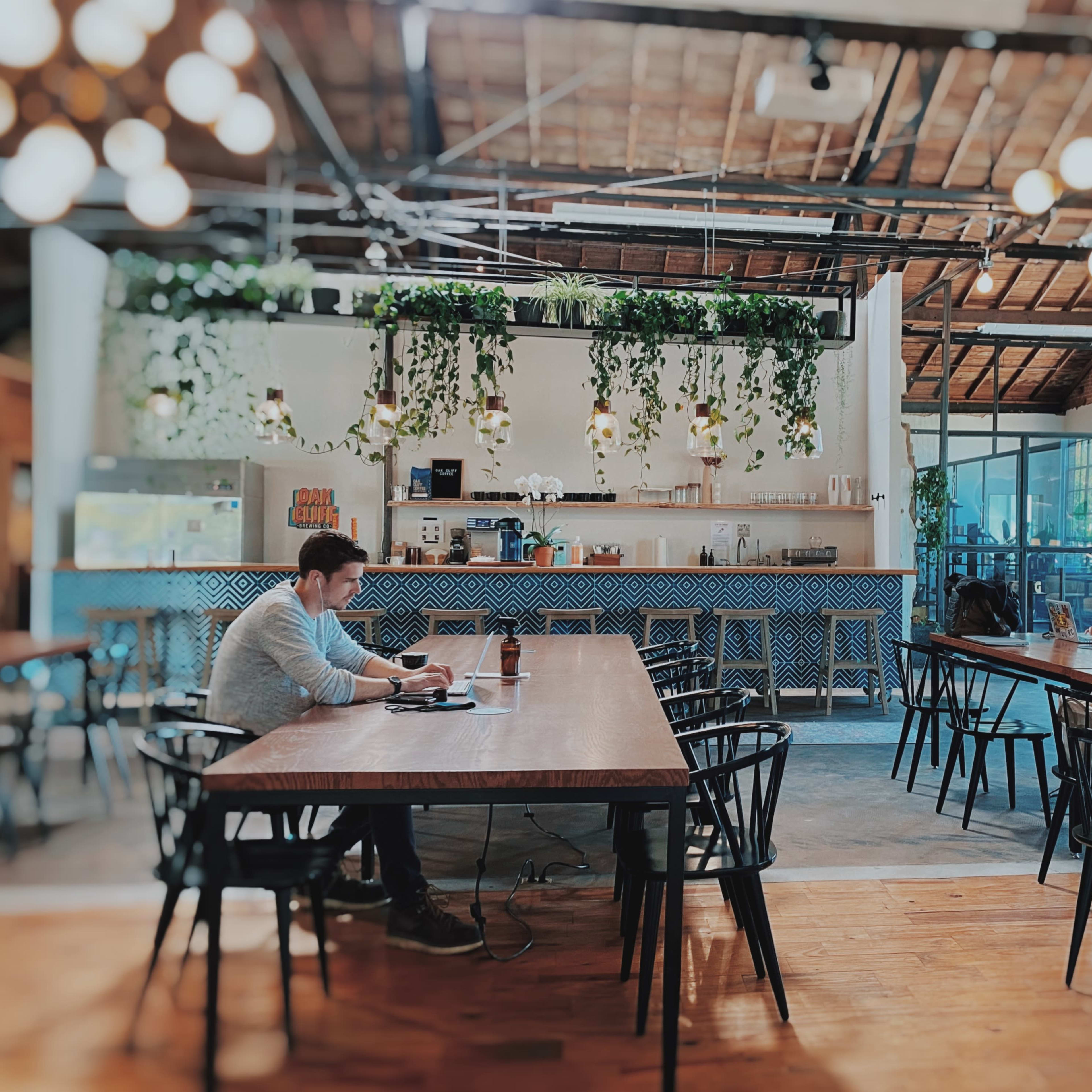 A spacious co-working space featuring several long wooden tables, plants hanging from the ceiling, and individuals working on laptops.