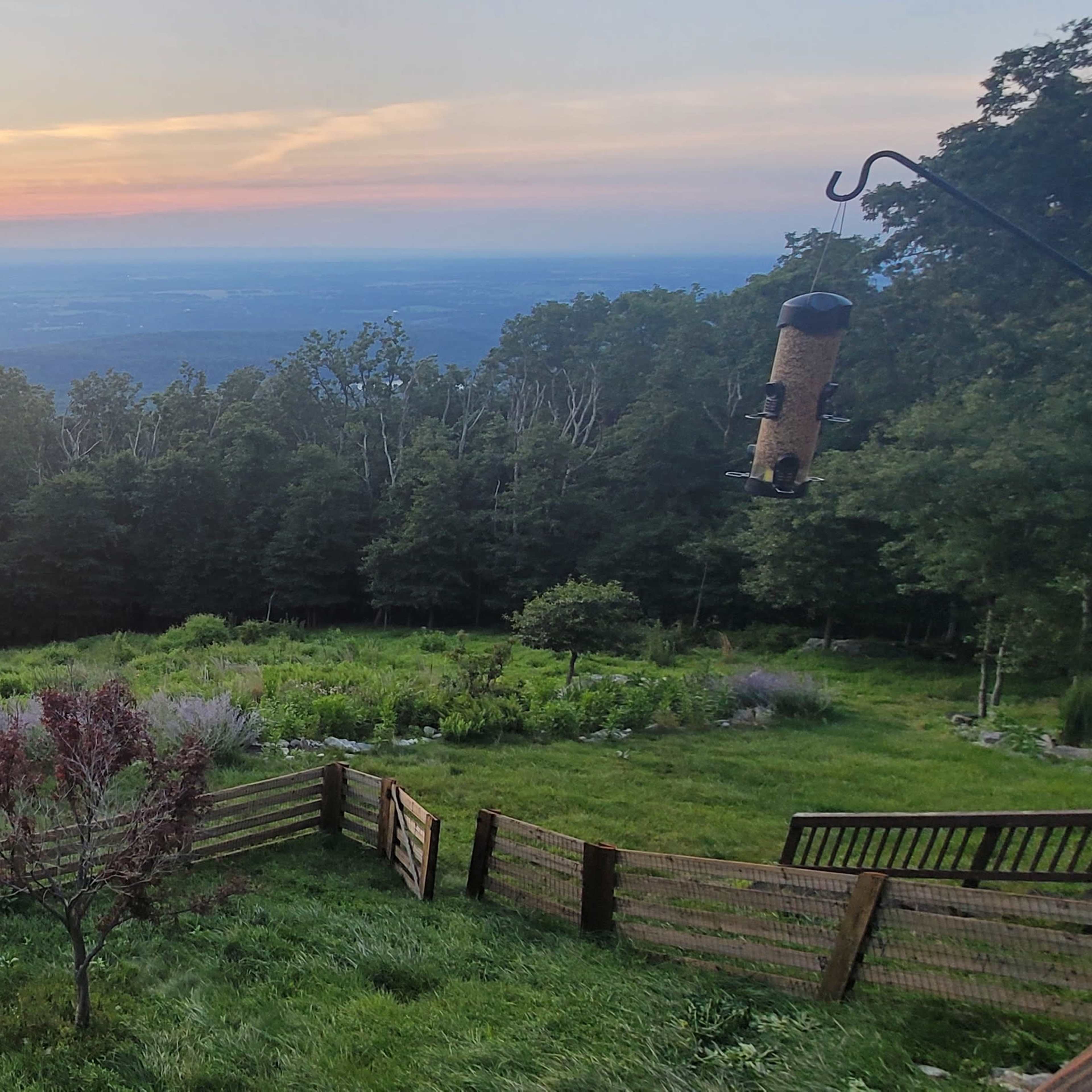 The scene shows a sunset over a hilly landscape, framed by trees and an open grassy area with a wooden fence.