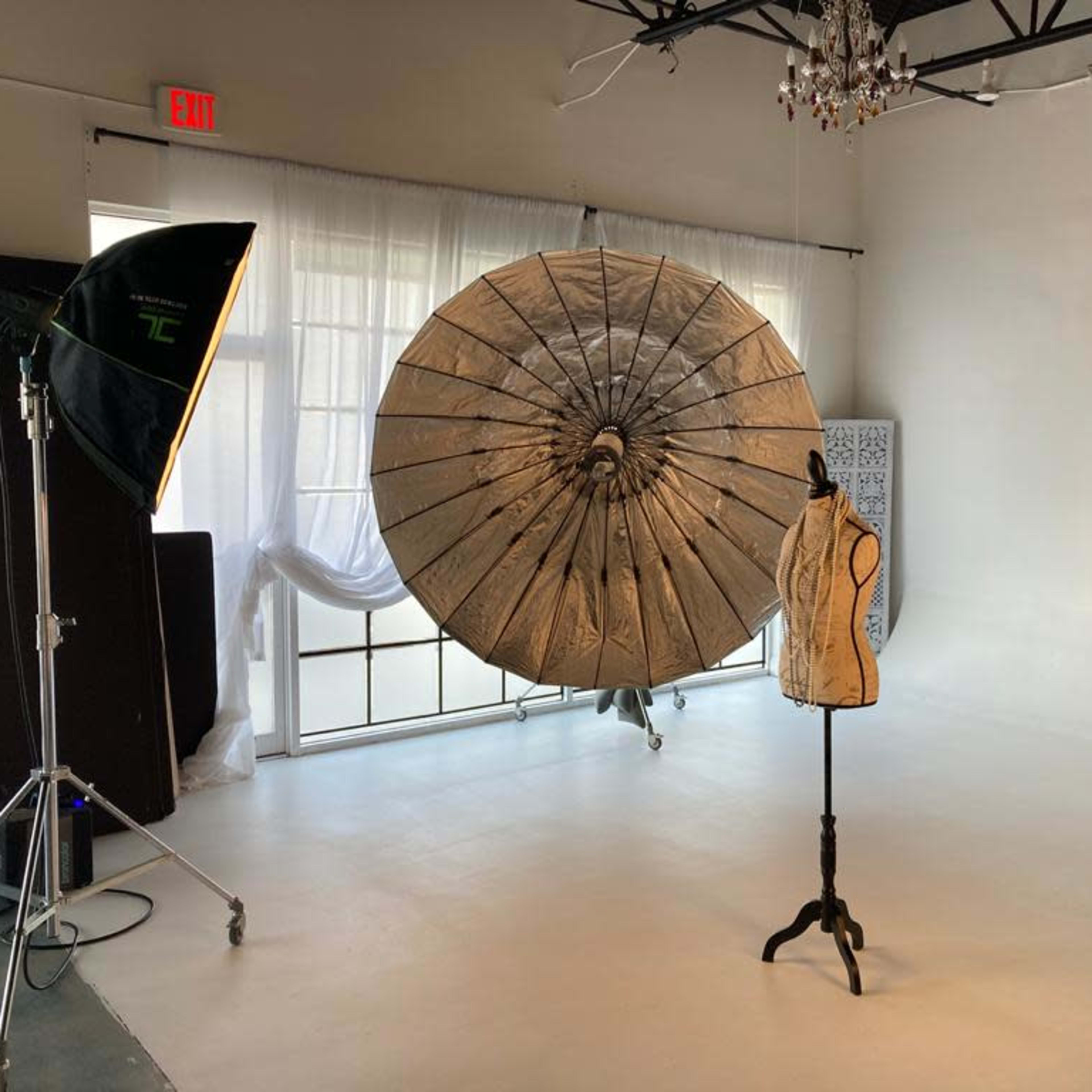 Spacious Natural light Studio centrally located Image in Dania Beach, Dania Beach, FL