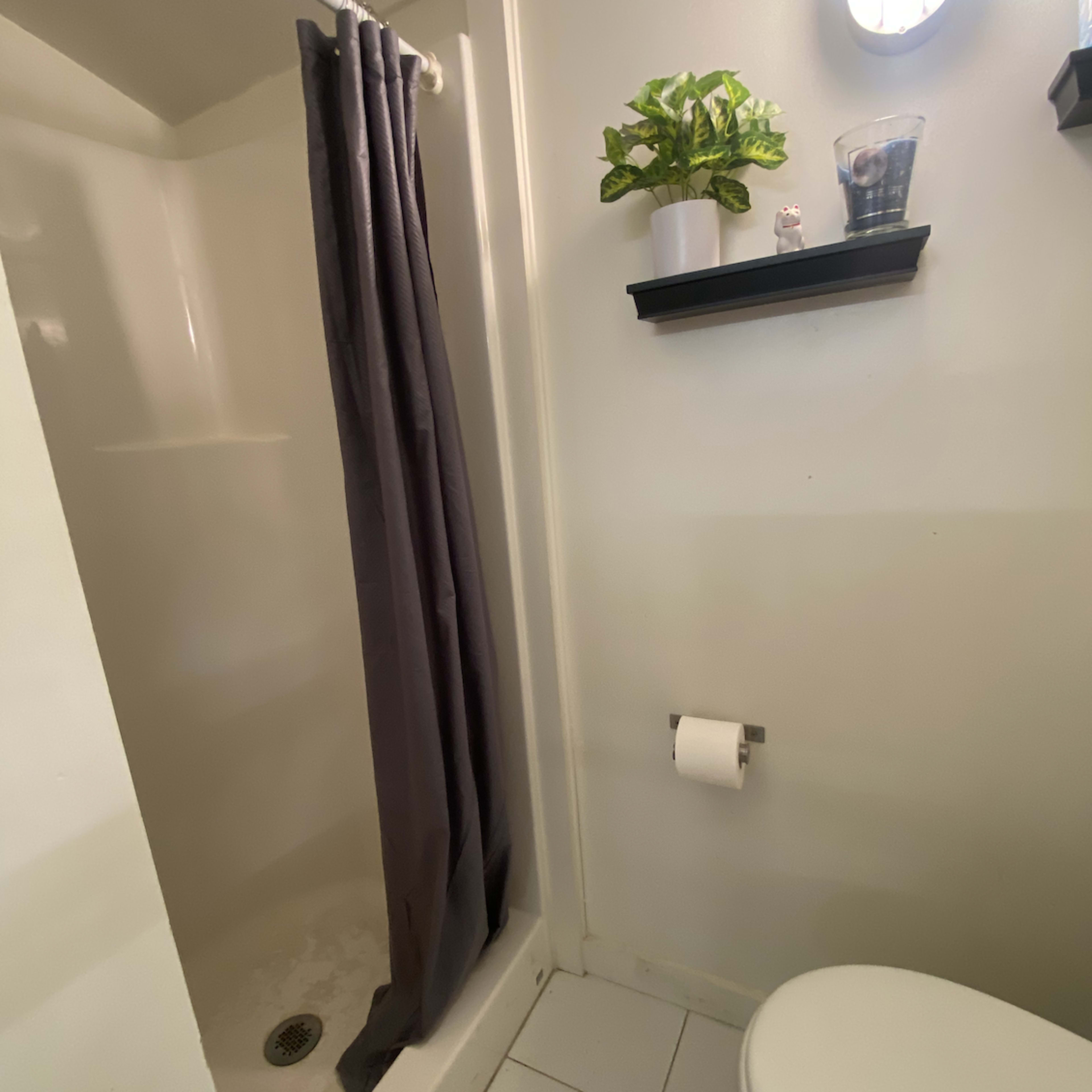 A small bathroom with a shower, a toilet, a towel rack, and a shelf with a plant and decorative items.